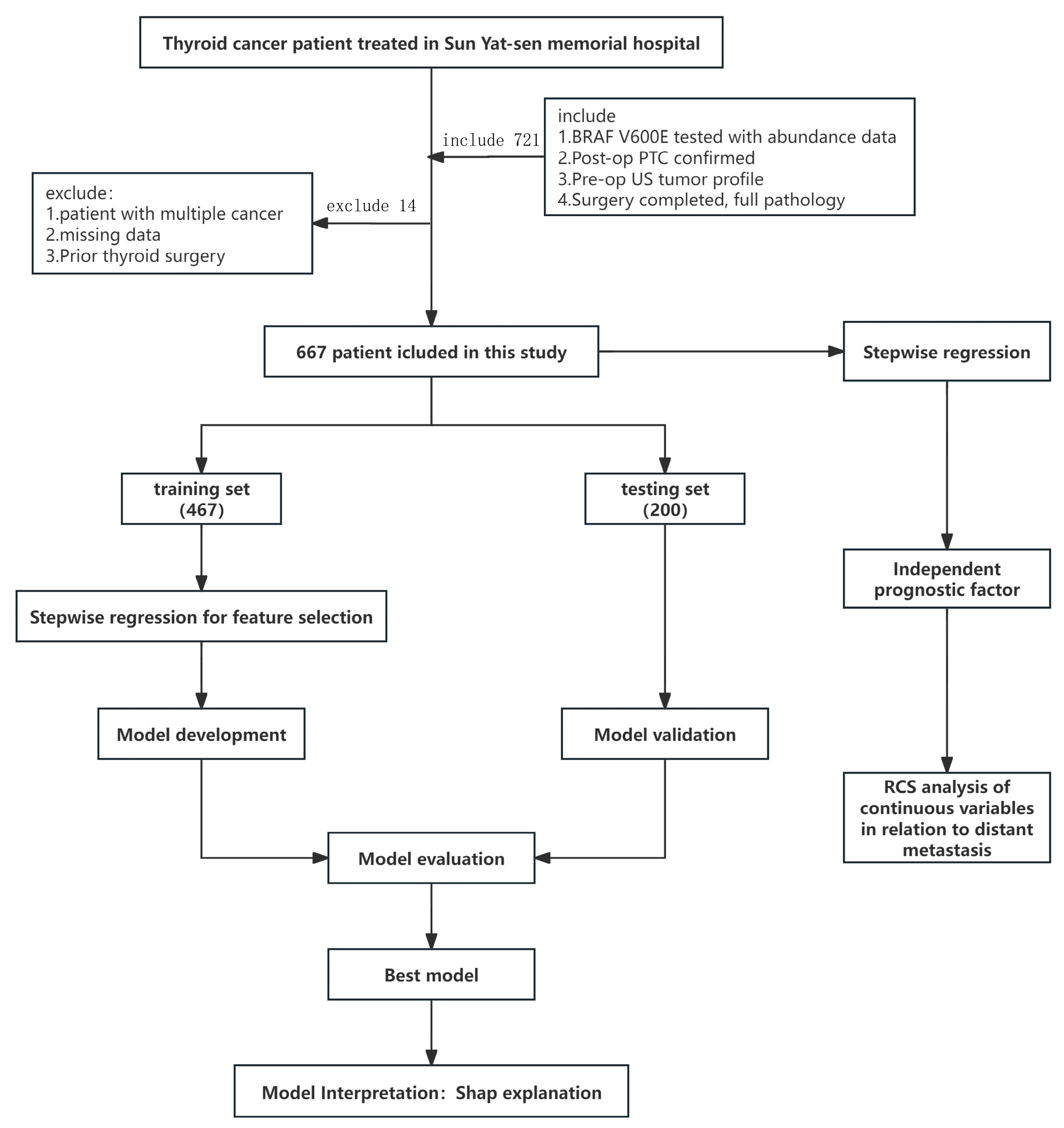 Cancers 17 03562 g001