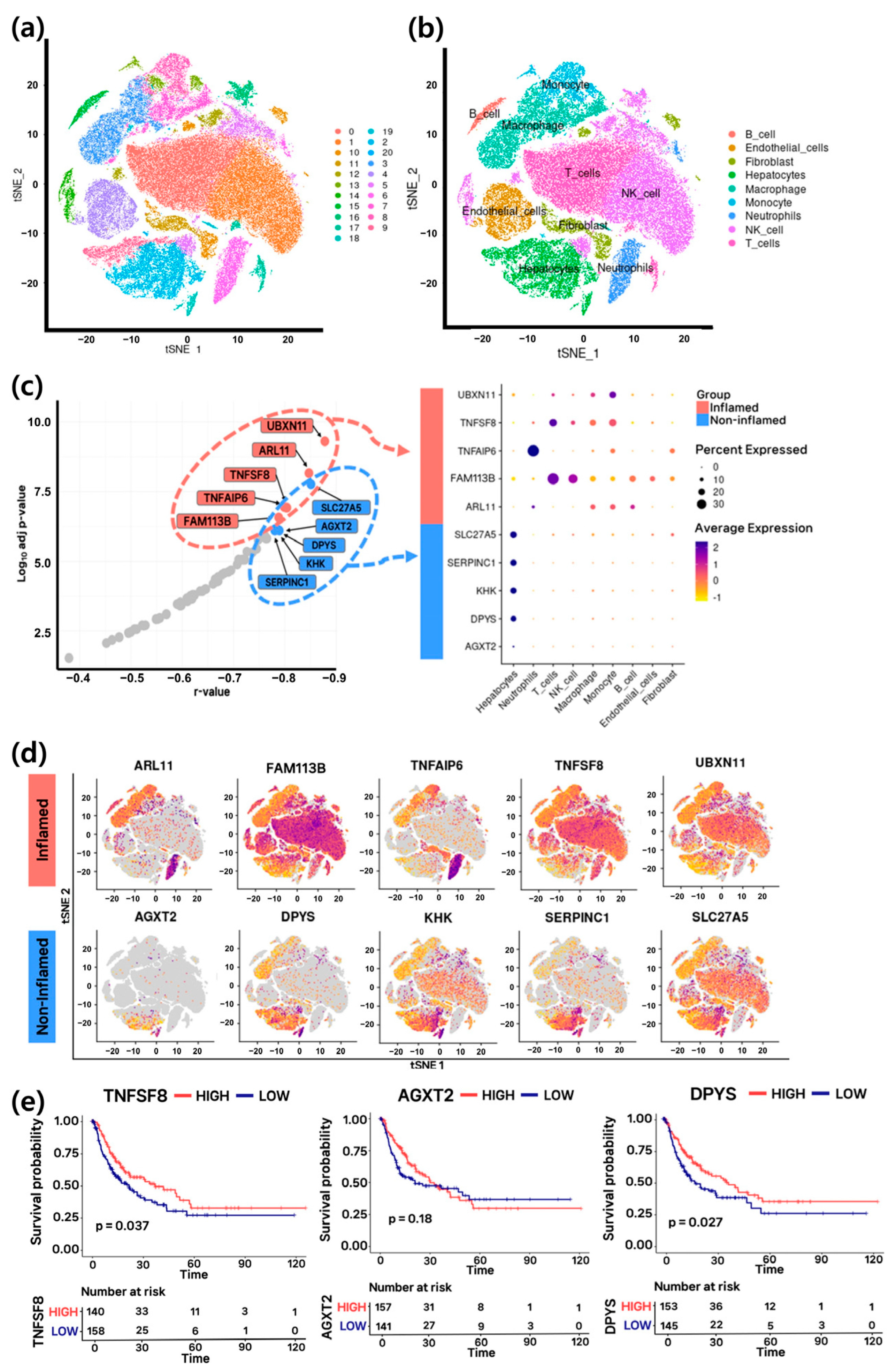 Cancers 17 03565 g005 Cancers 17 03565 g005