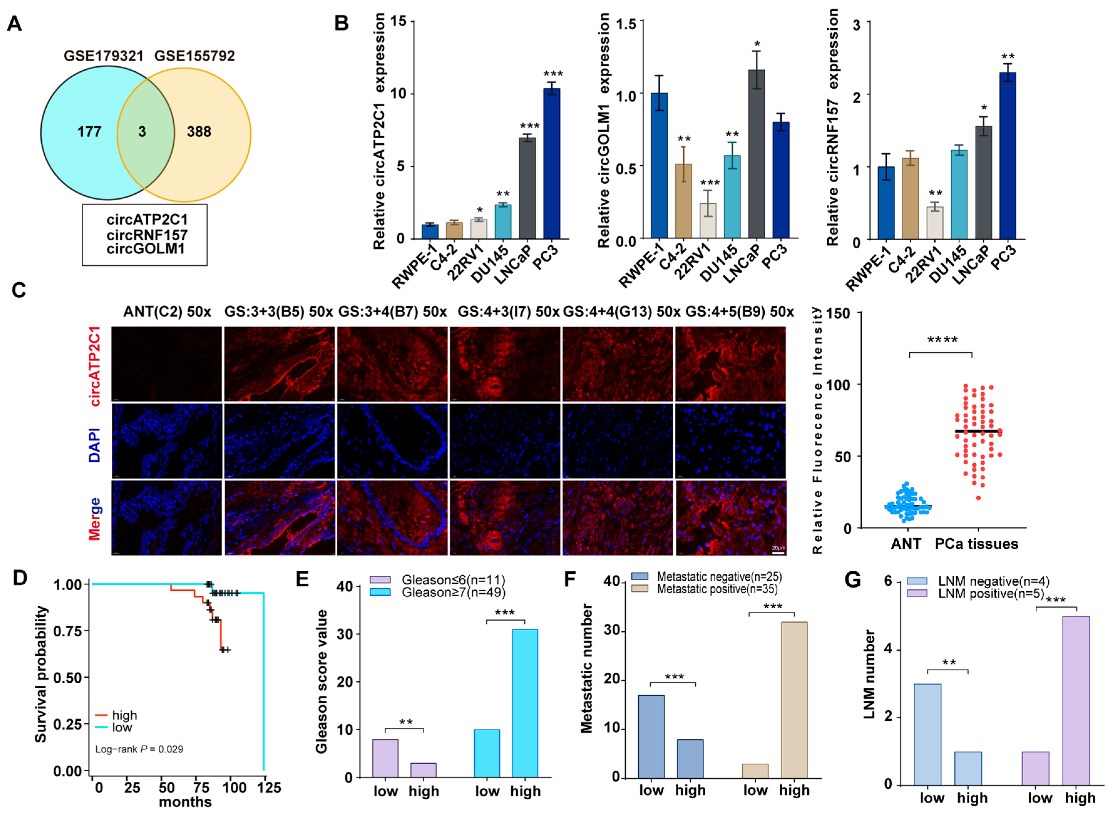 Cancers 17 03571 g001 Cancers 17 03571 g001