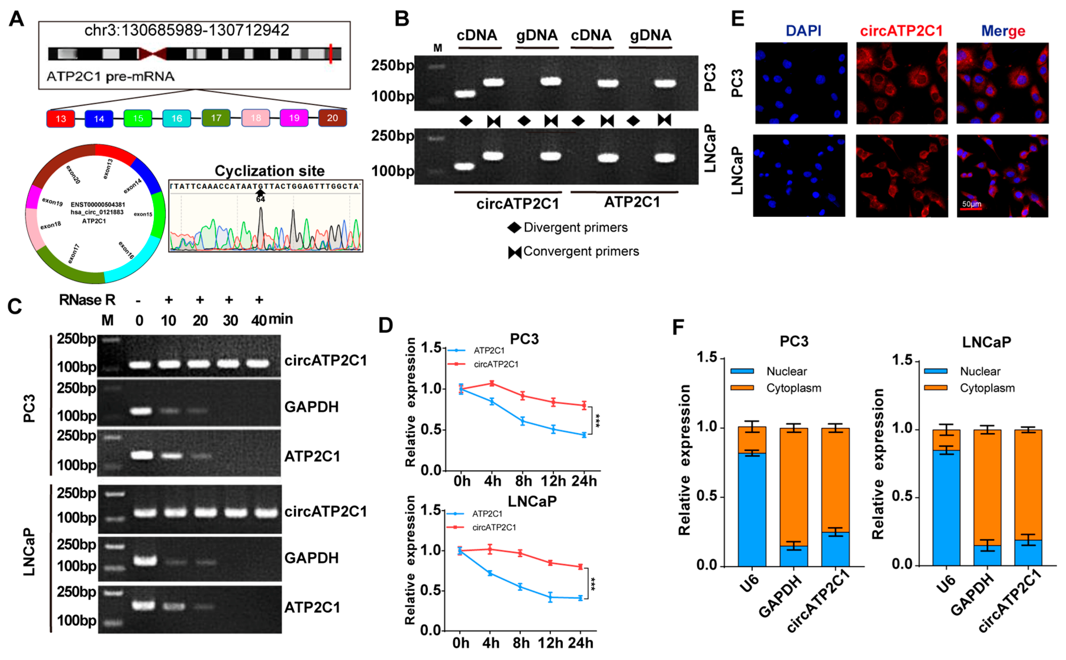 Cancers 17 03571 g002 Cancers 17 03571 g002