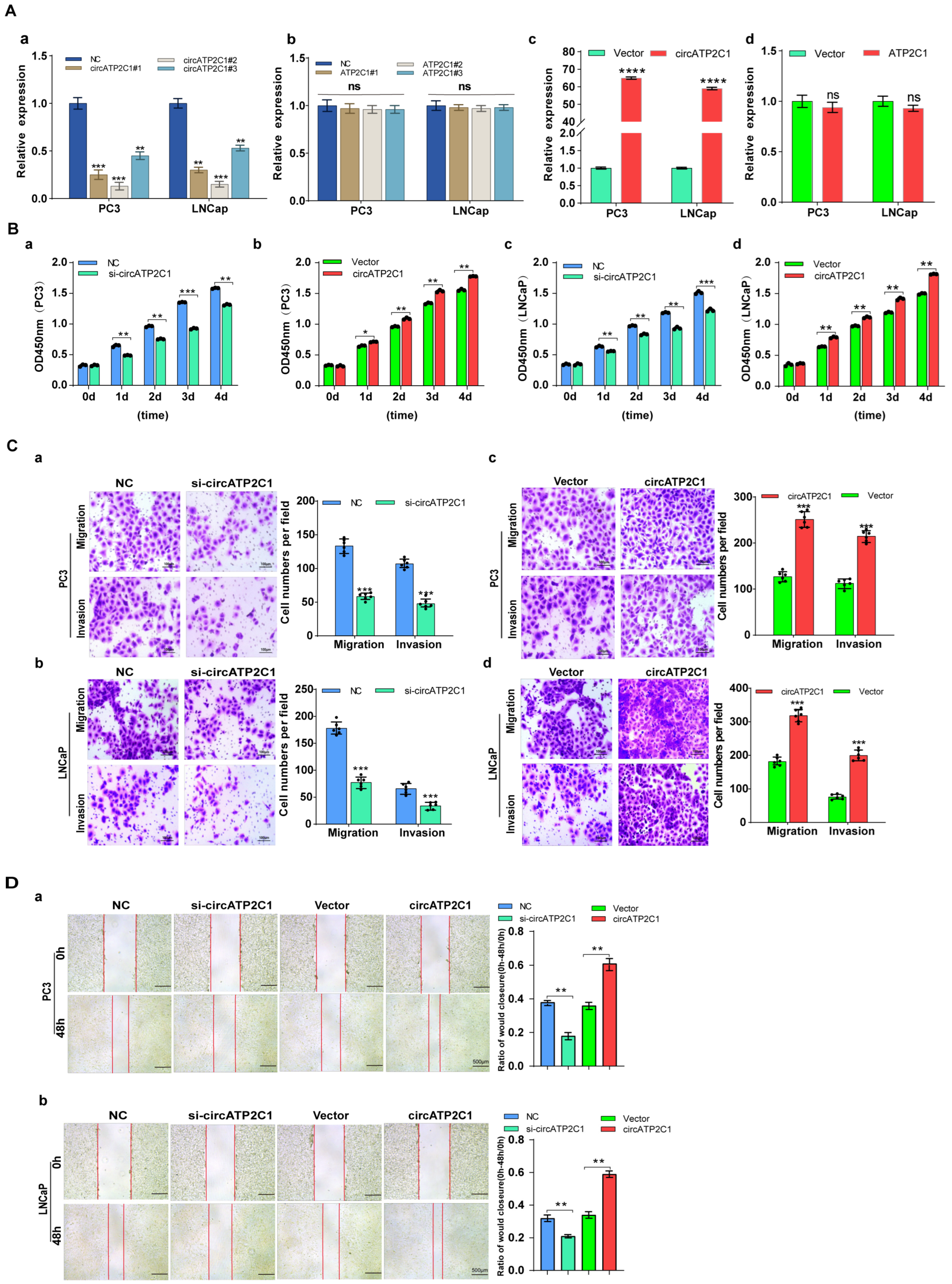 Cancers 17 03571 g003 Cancers 17 03571 g003