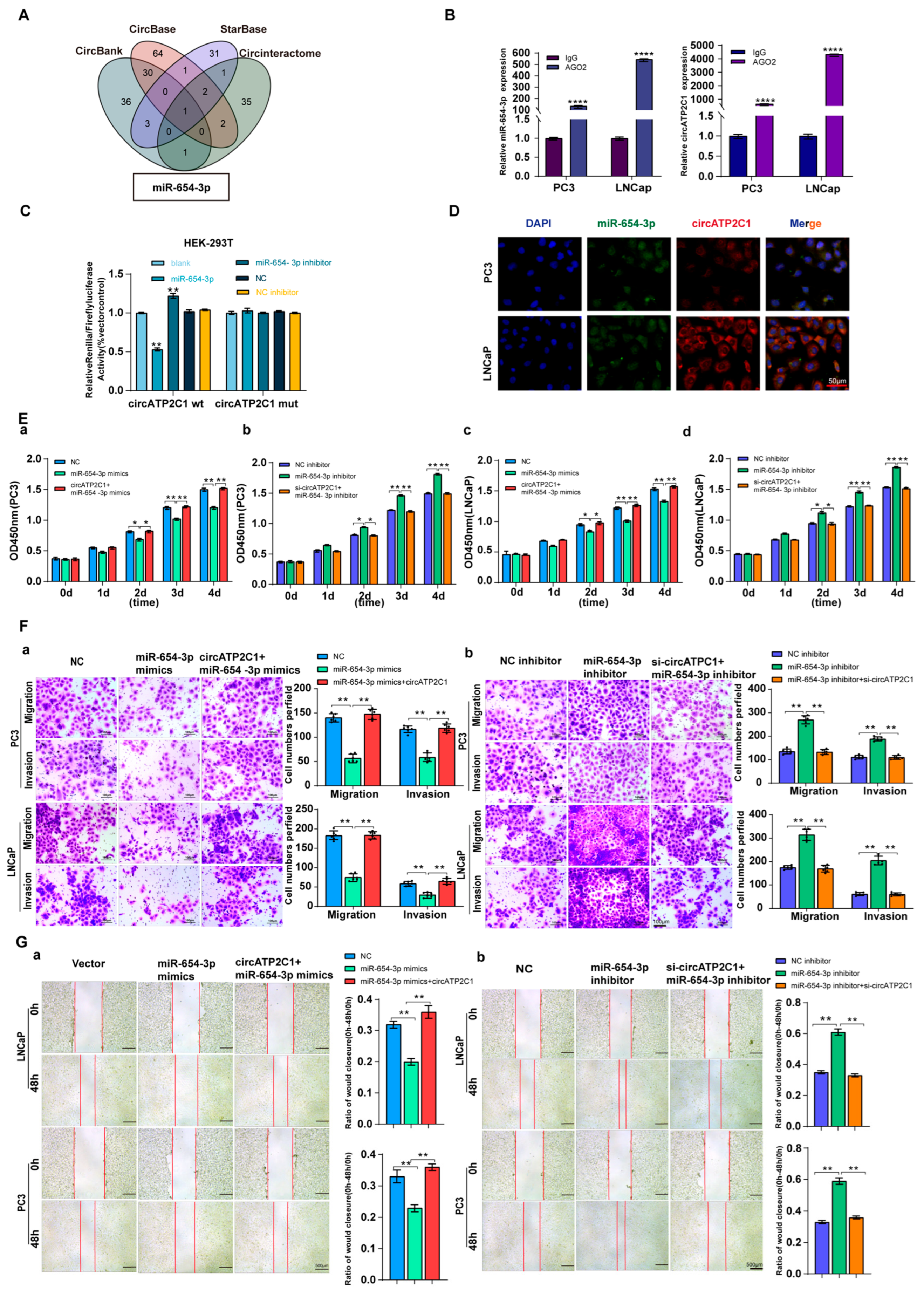 Cancers 17 03571 g004 Cancers 17 03571 g004