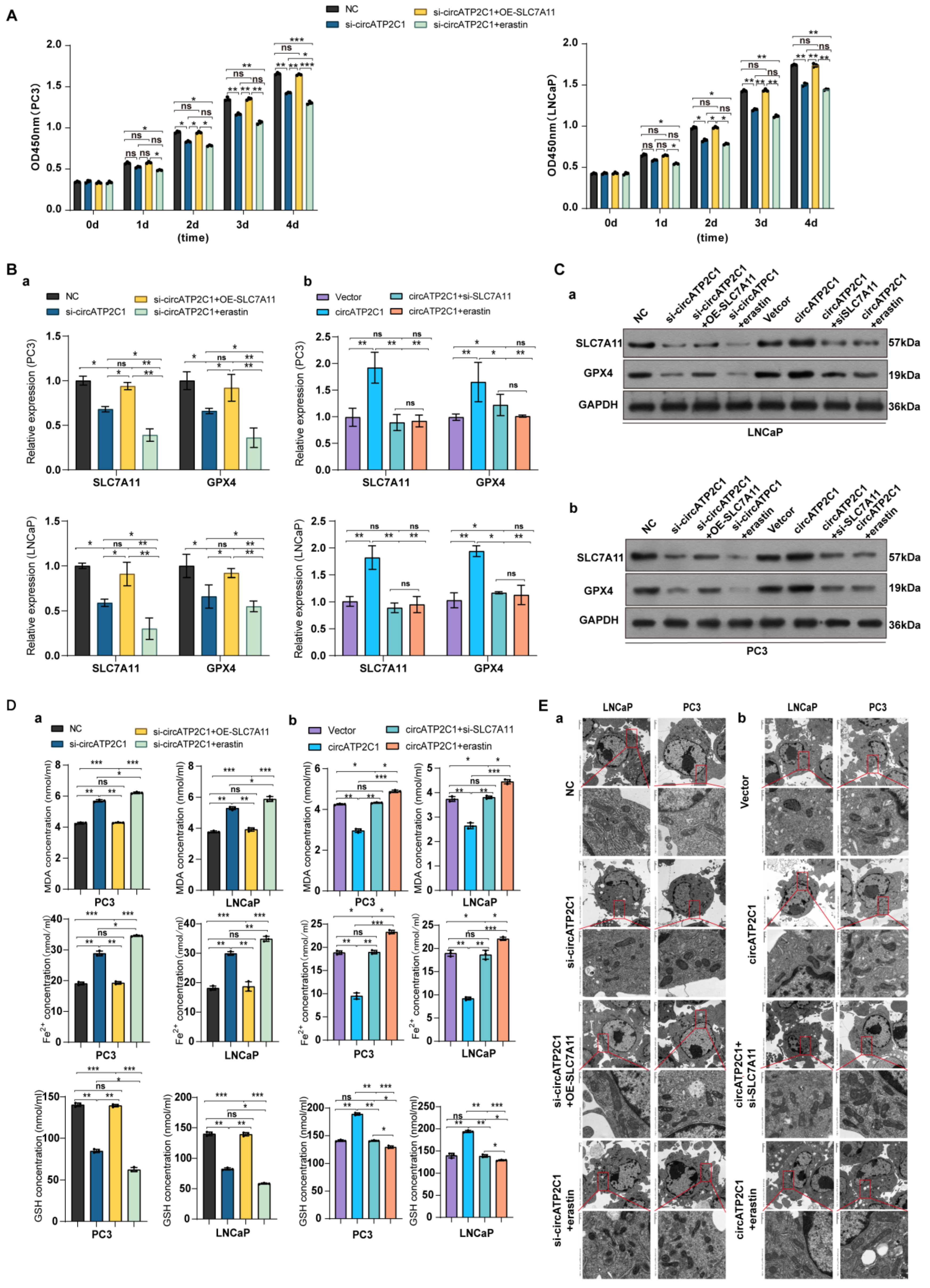 Cancers 17 03571 g006 Cancers 17 03571 g006