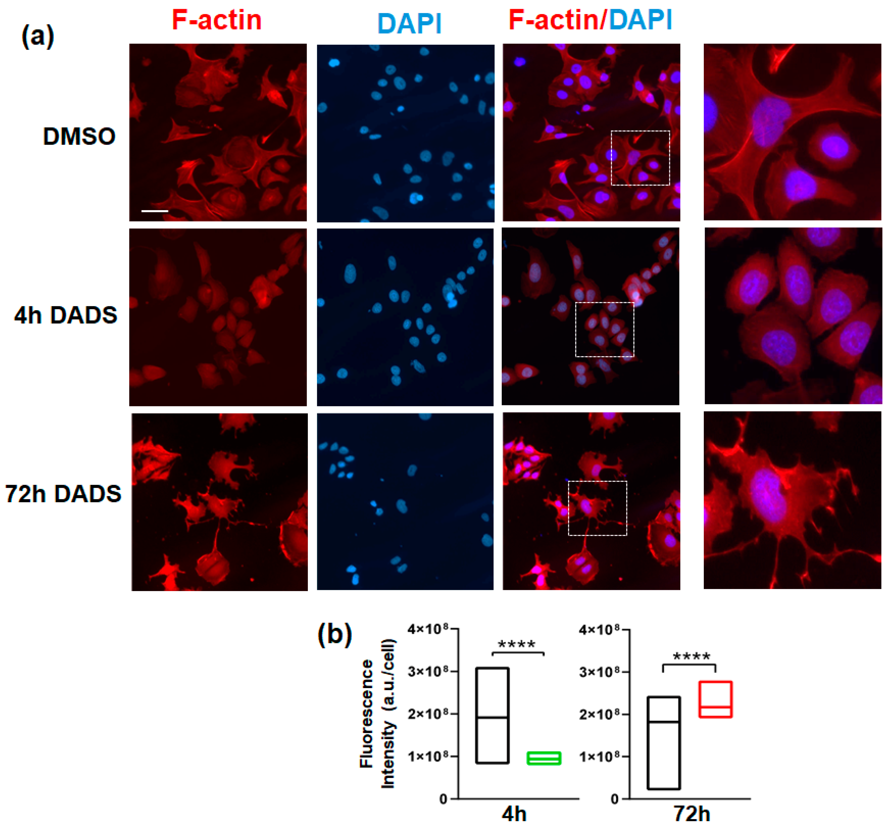Cancers 17 03572 g006