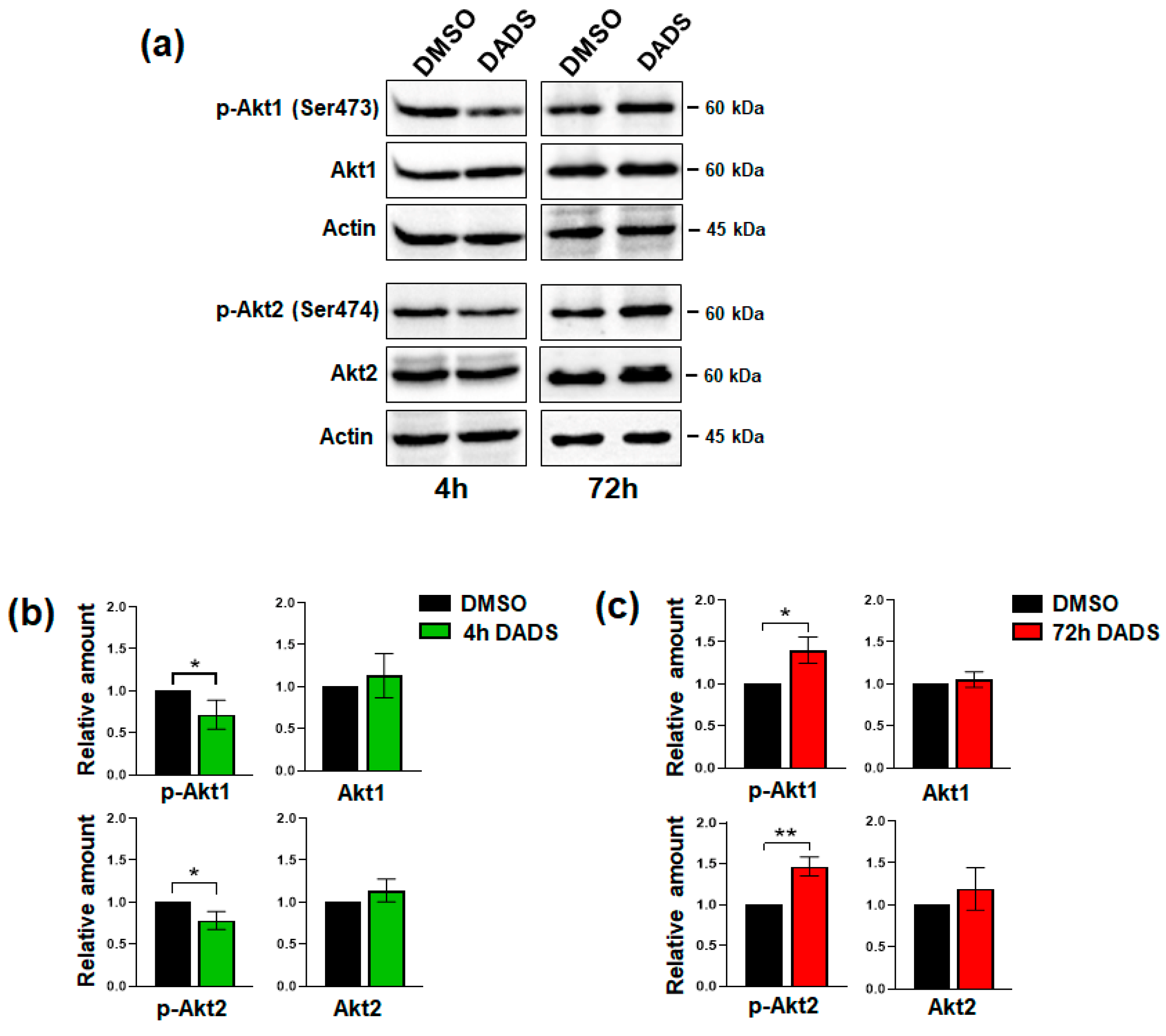 Cancers 17 03572 g007