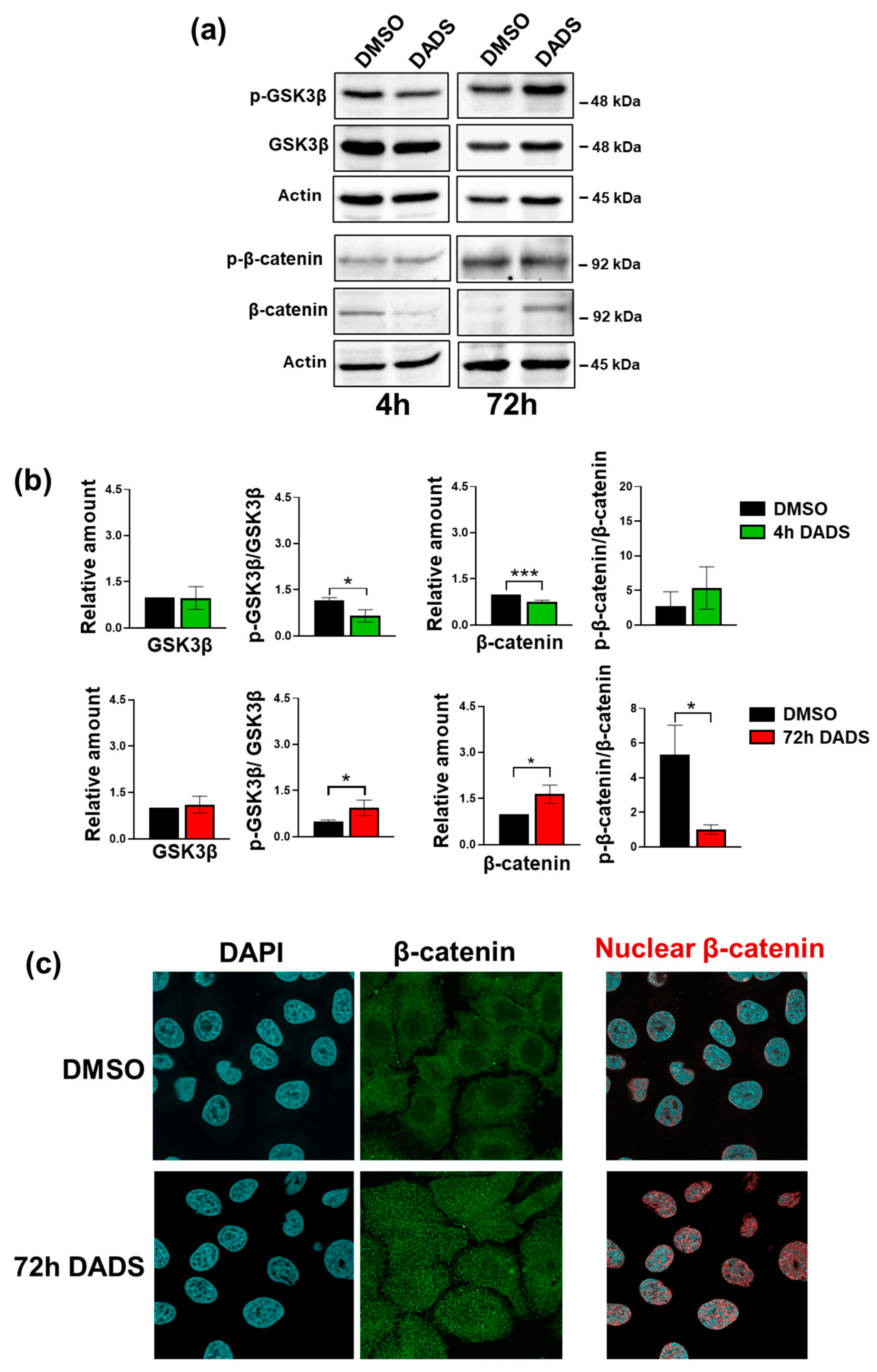 Cancers 17 03572 g008