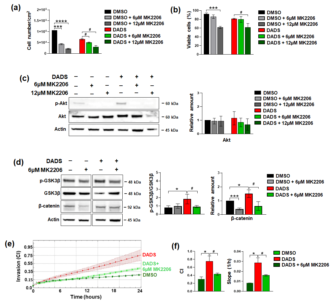 Cancers 17 03572 g009
