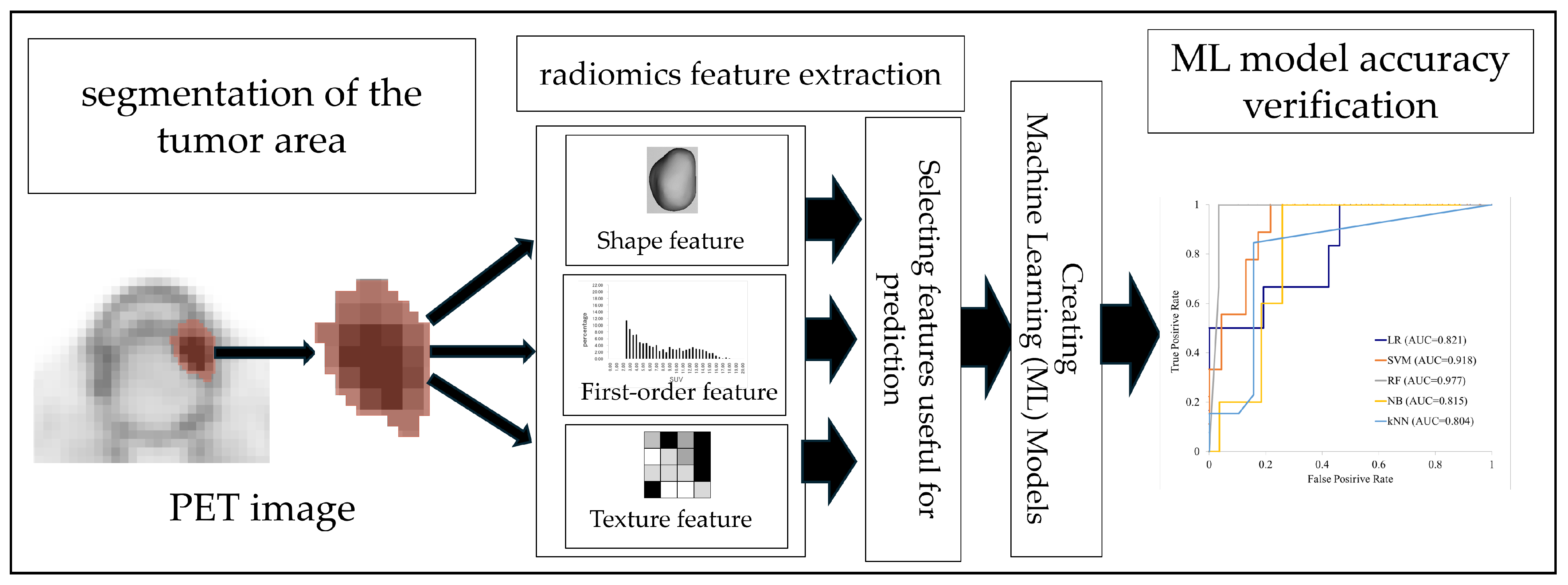 Cancers 17 03573 g001 Cancers 17 03573 g001