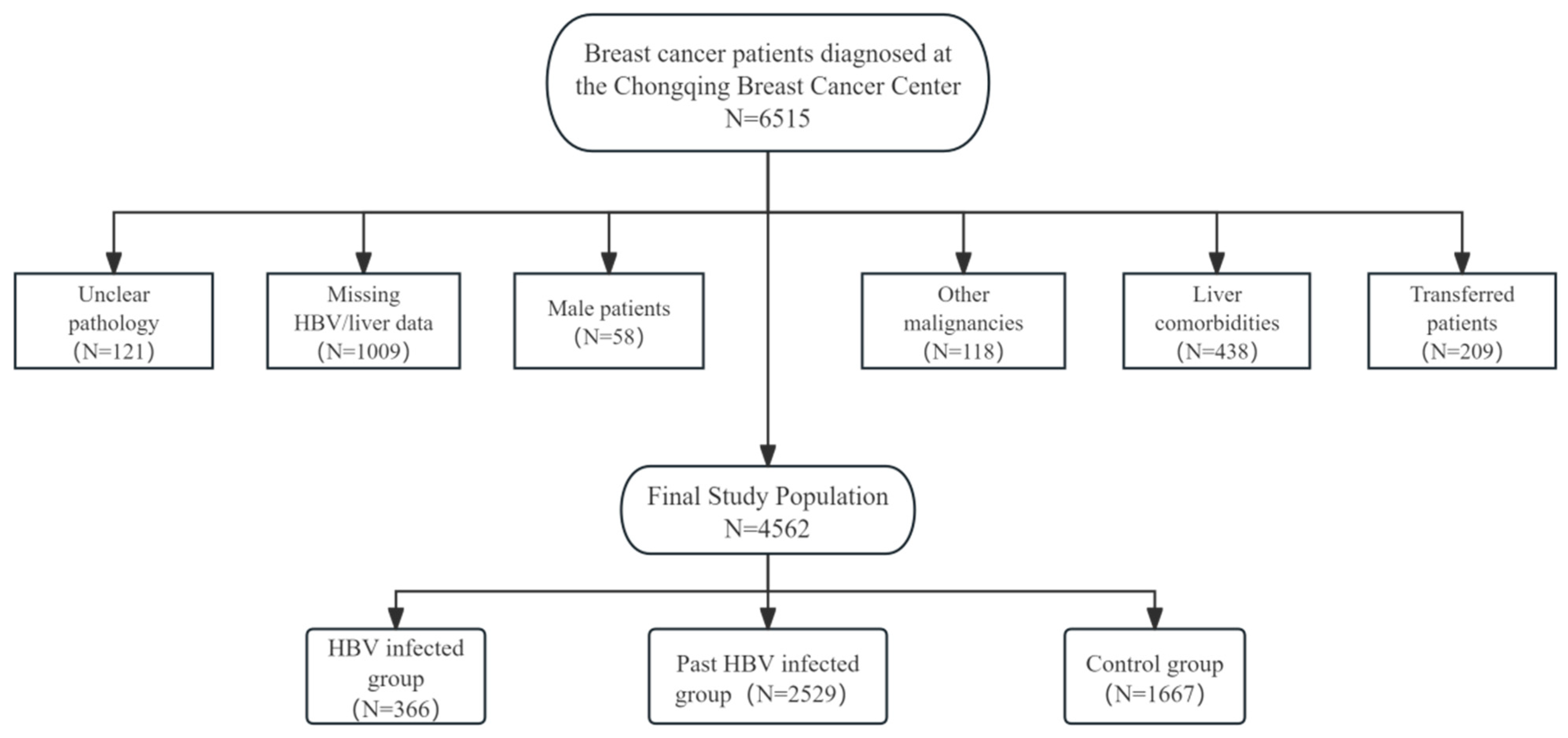 Cancers 17 03574 g001