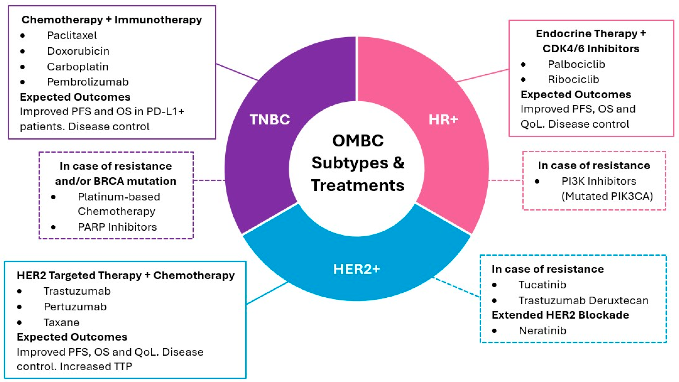 Cancers 17 03578 g002