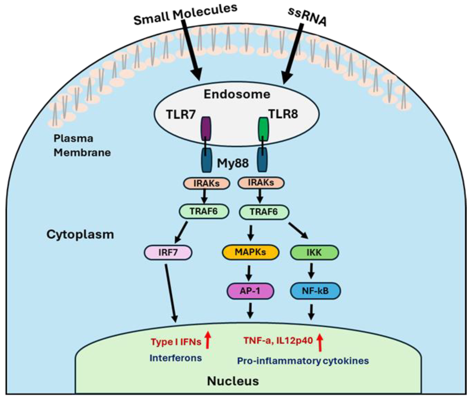 Cancers 17 03582 g002 Cancers 17 03582 g002
