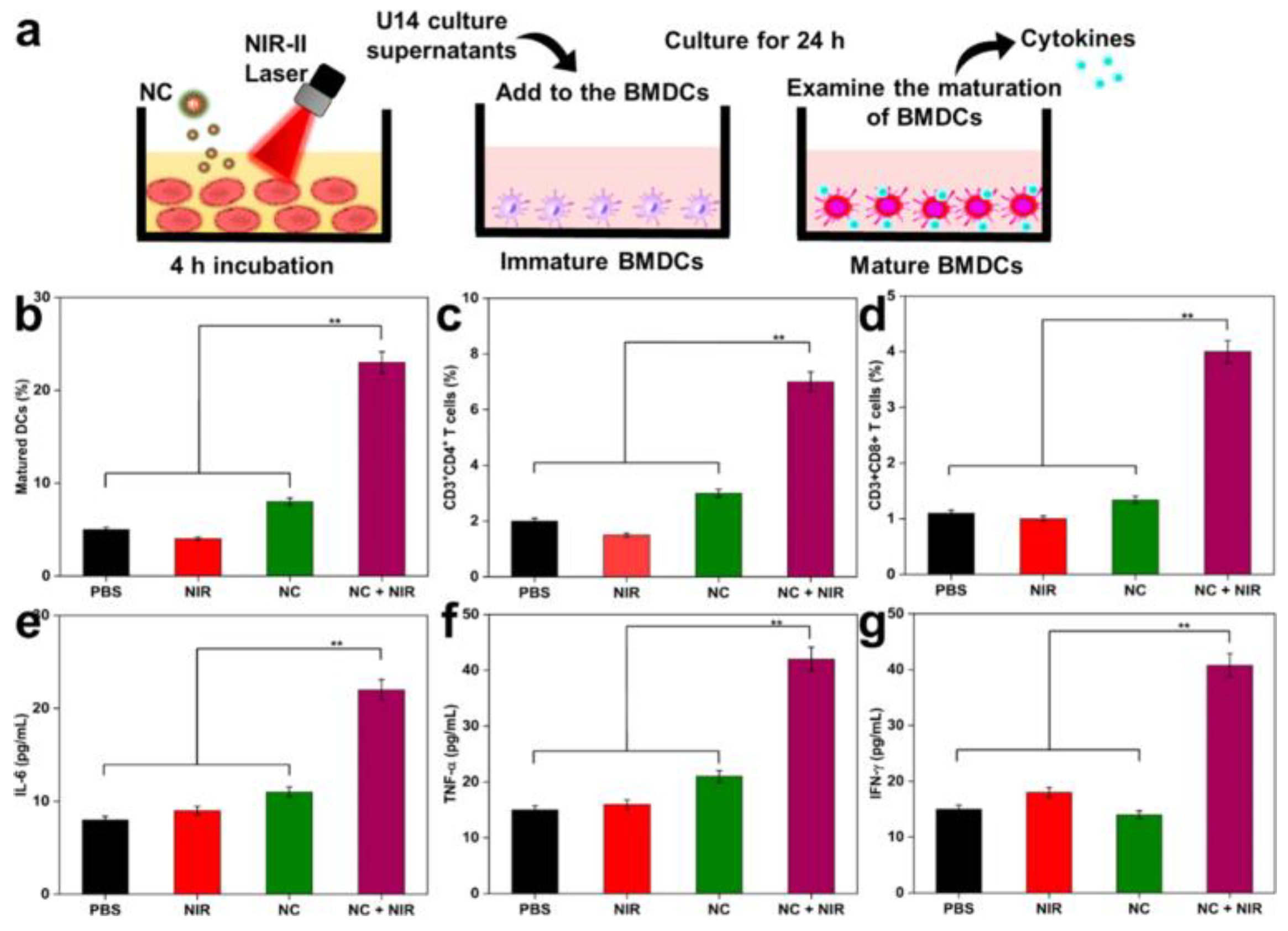 Cancers 17 03582 g006 Cancers 17 03582 g006