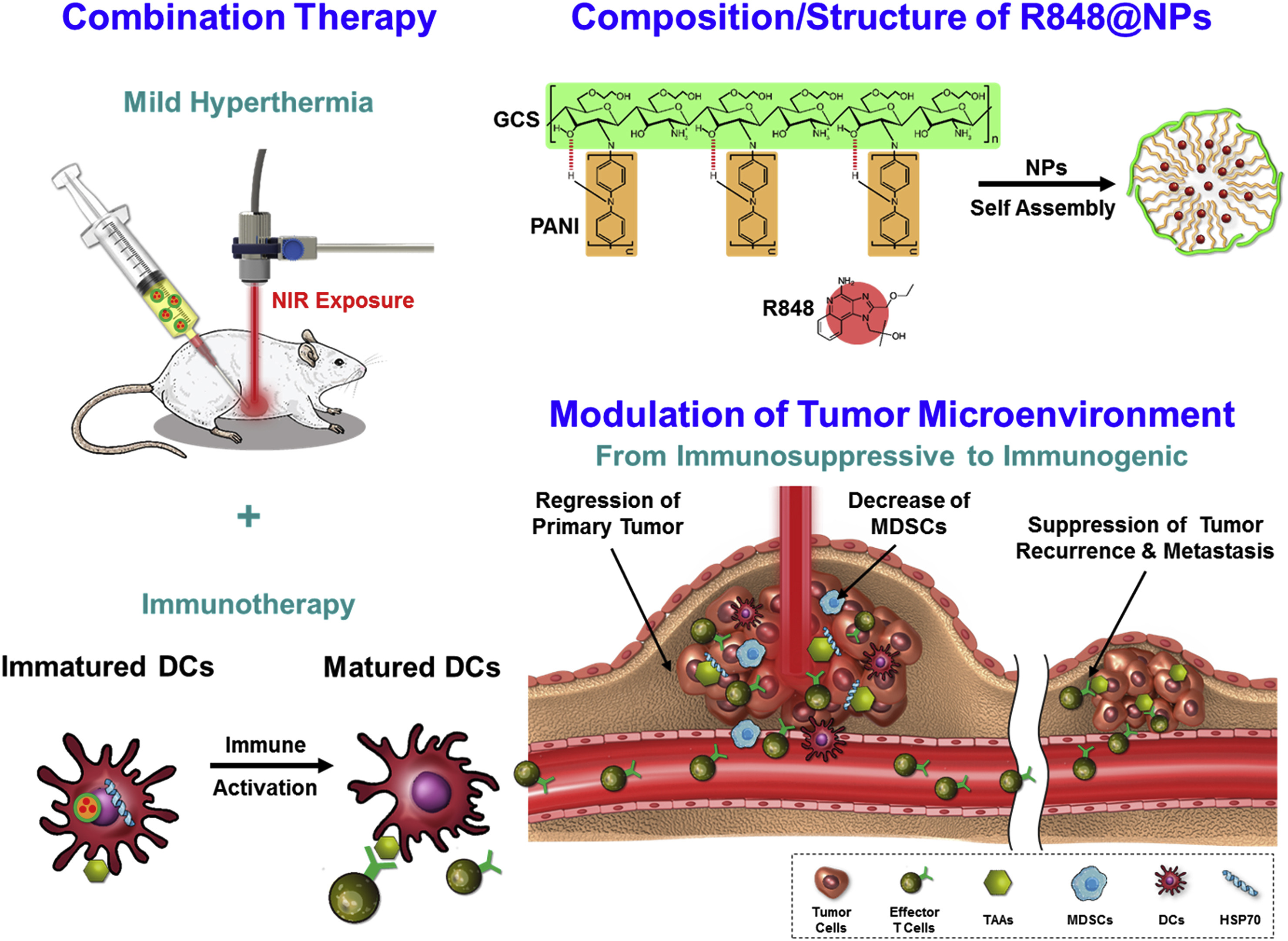 Cancers 17 03582 g007 Cancers 17 03582 g007