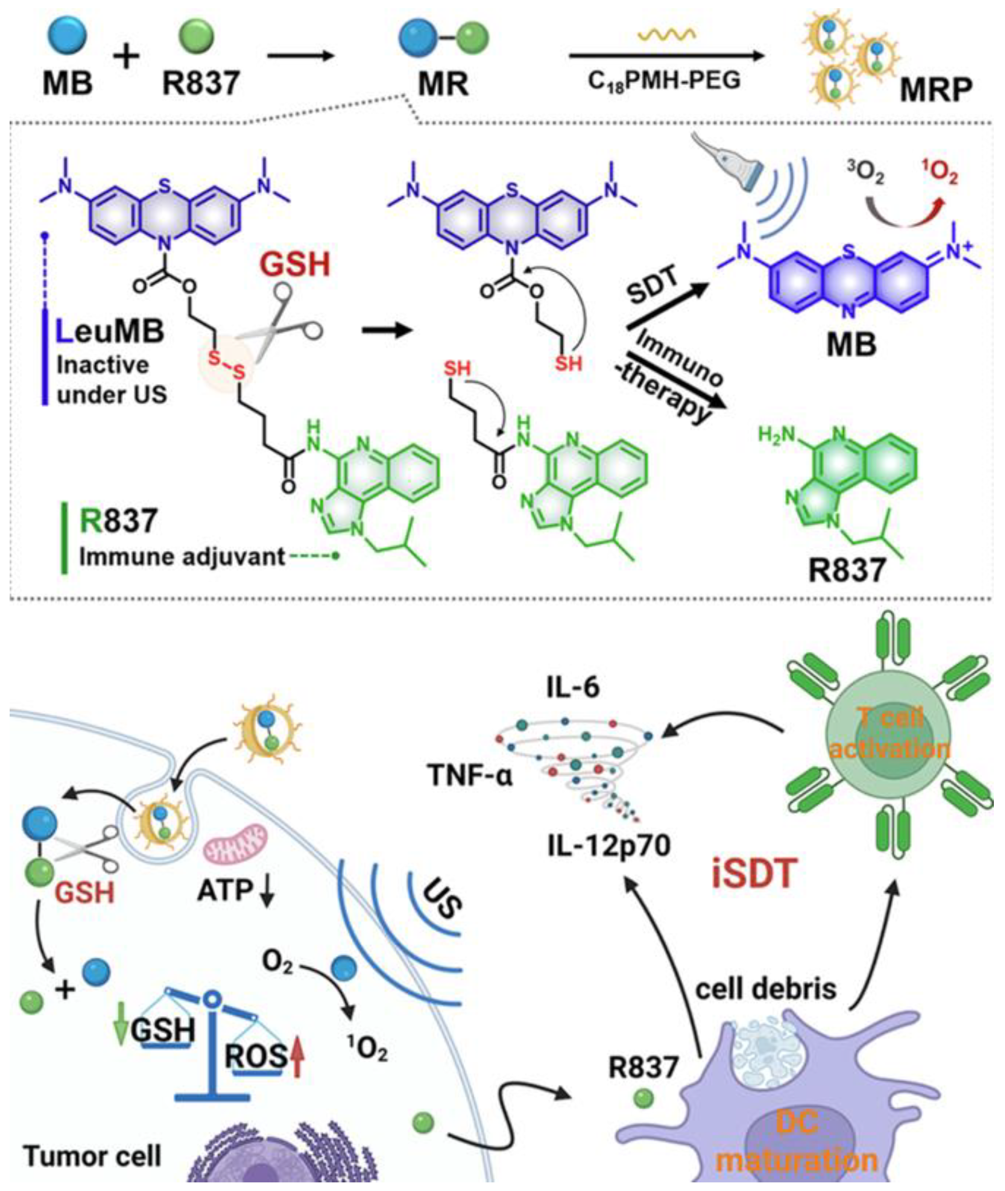 Cancers 17 03582 g010 Cancers 17 03582 g010