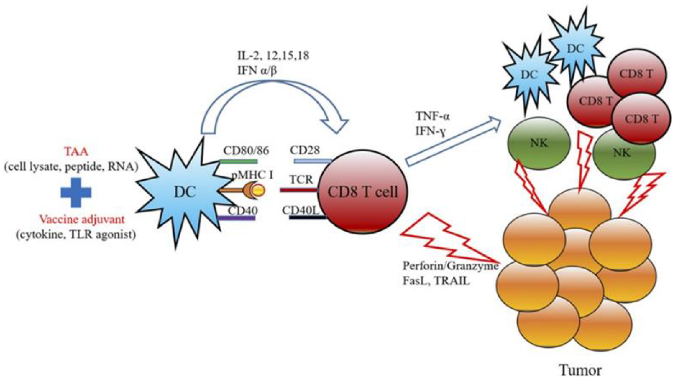 Cancers 17 03582 g011 Cancers 17 03582 g011