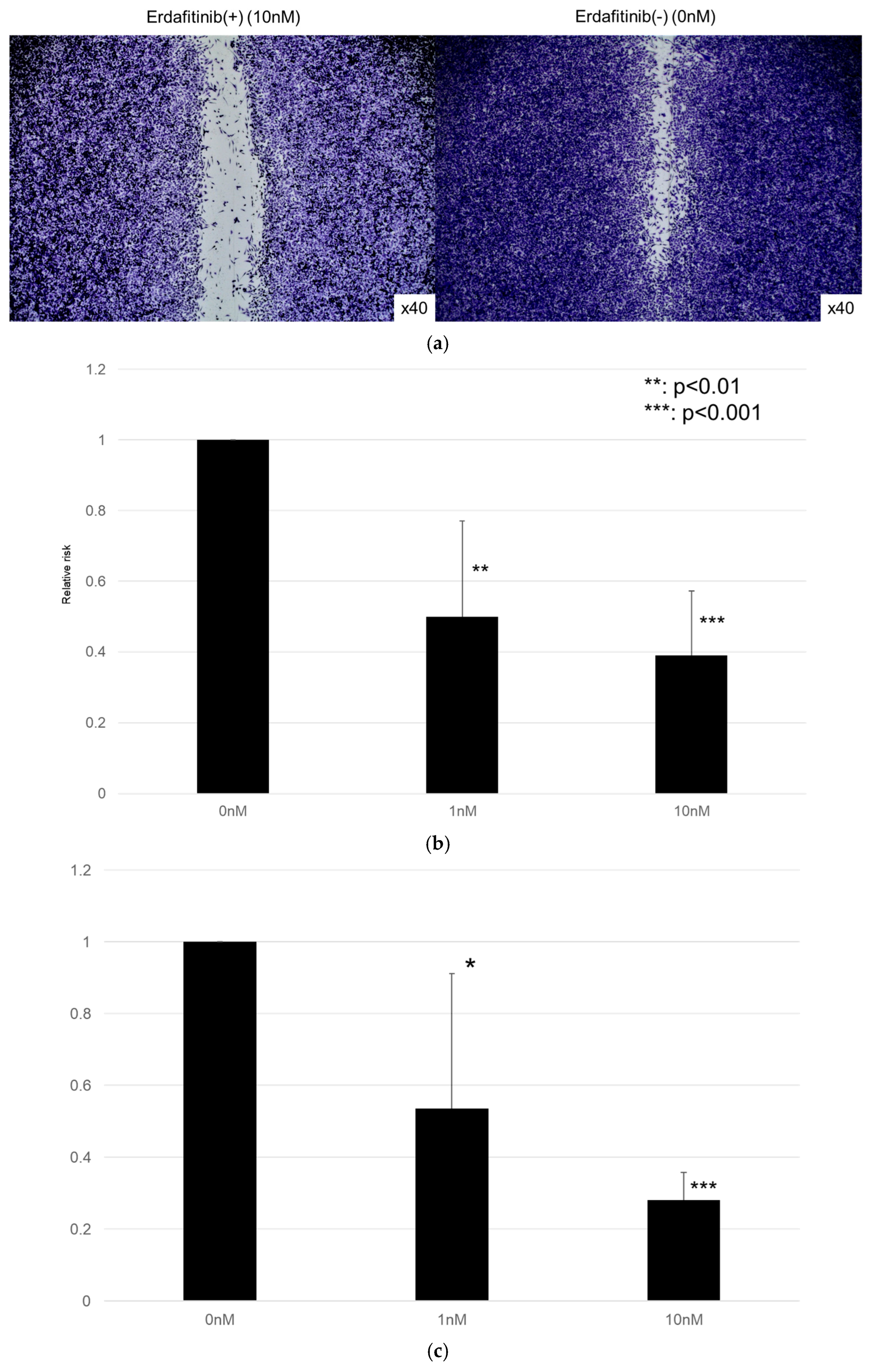 Cancers 17 03588 g005