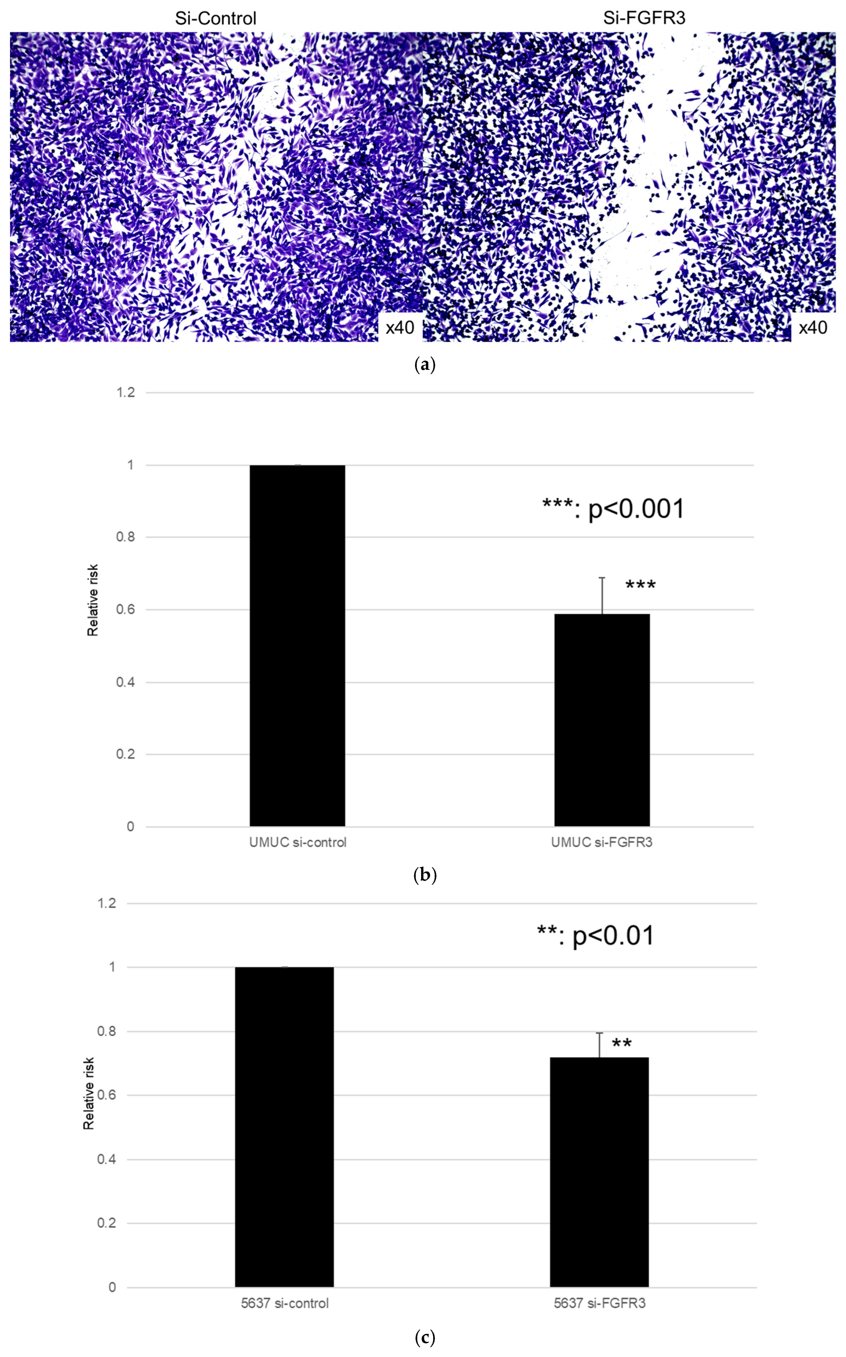 Cancers 17 03588 g009