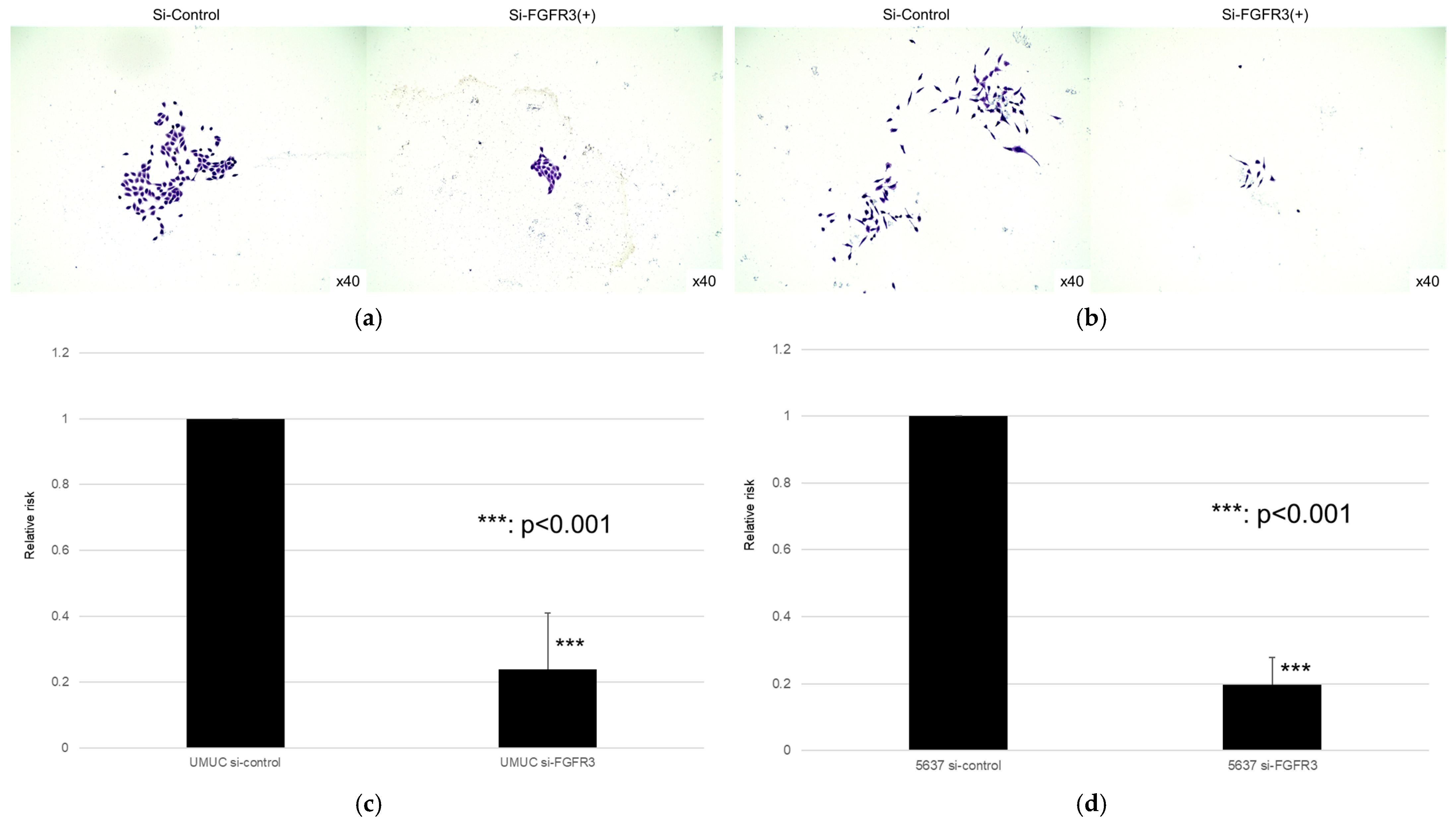 Cancers 17 03588 g011