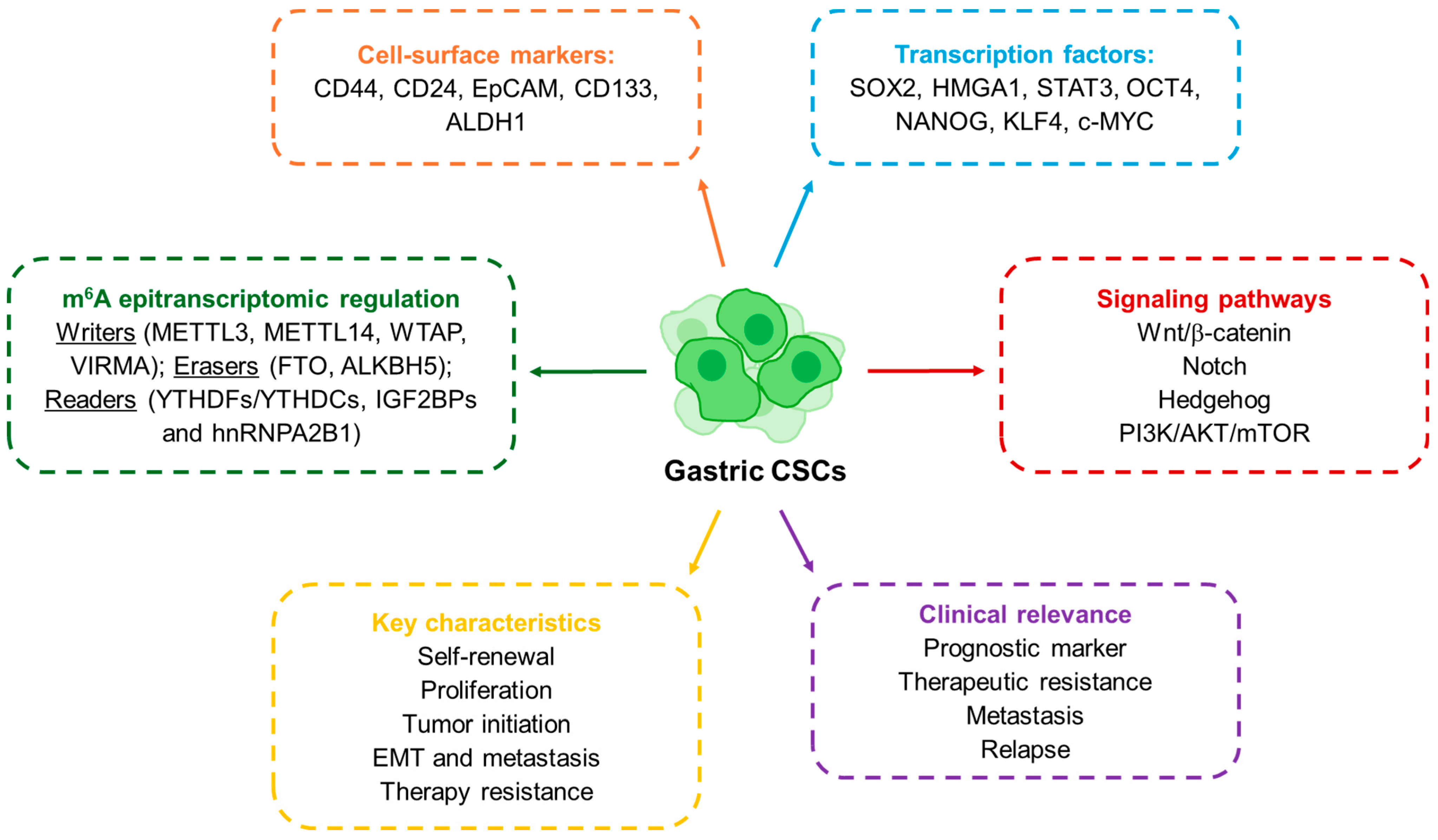 Cancers 17 03589 g001 Cancers 17 03589 g001