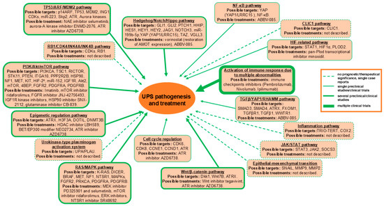Cancers 17 03613 g001