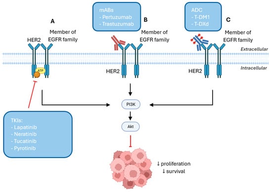 Cancers 17 03672 g002