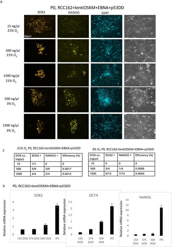 Cancers 17 03693 g001b