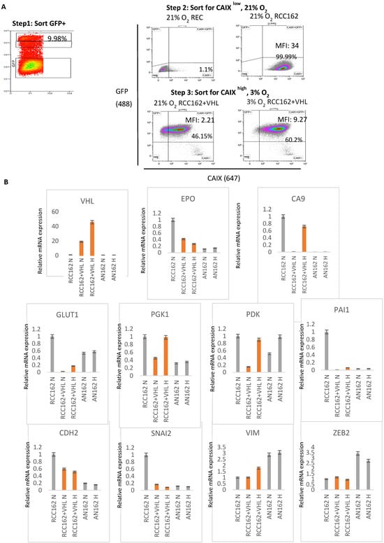 Cancers 17 03693 g002