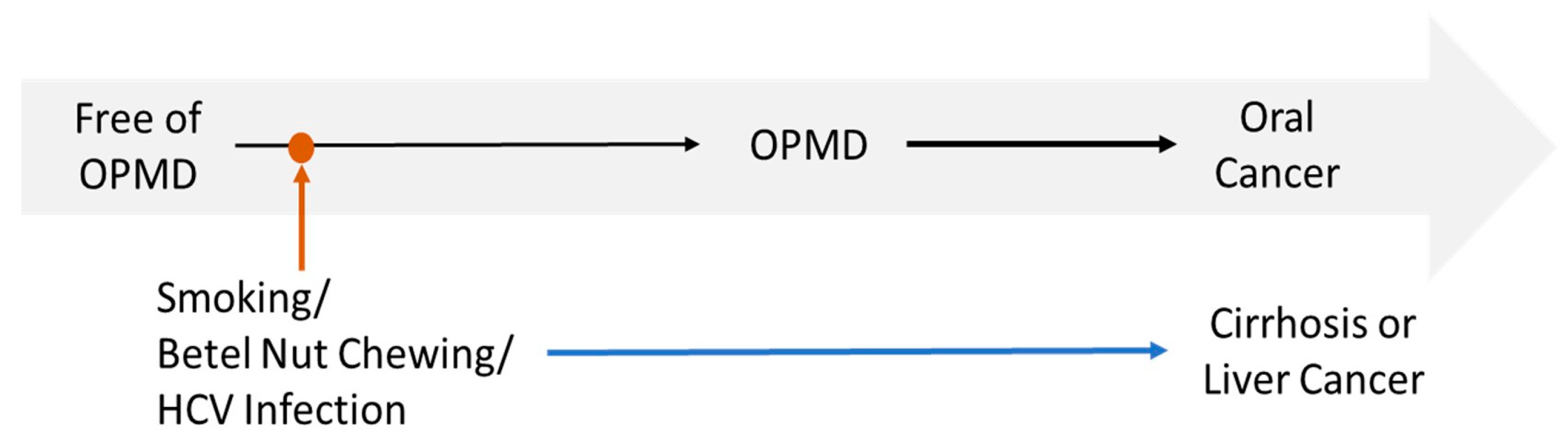 Cancers 17 03695 g003