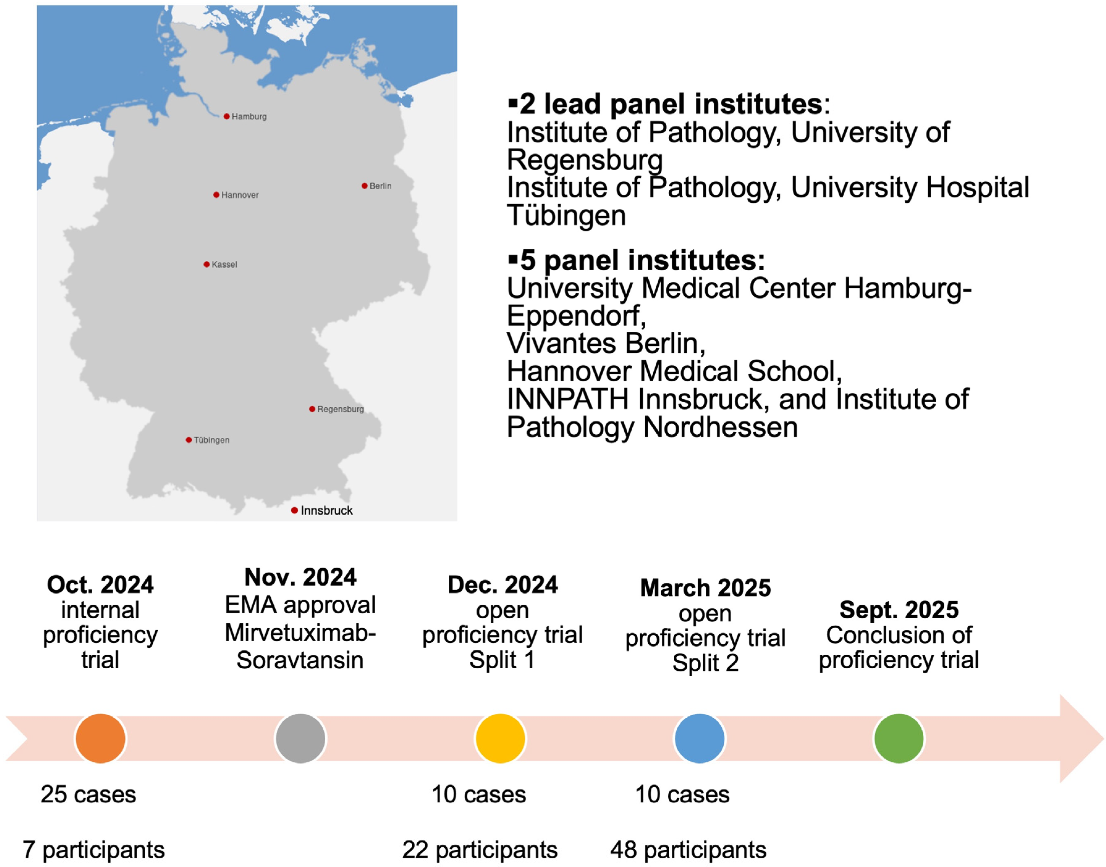 Cancers 17 03703 g001