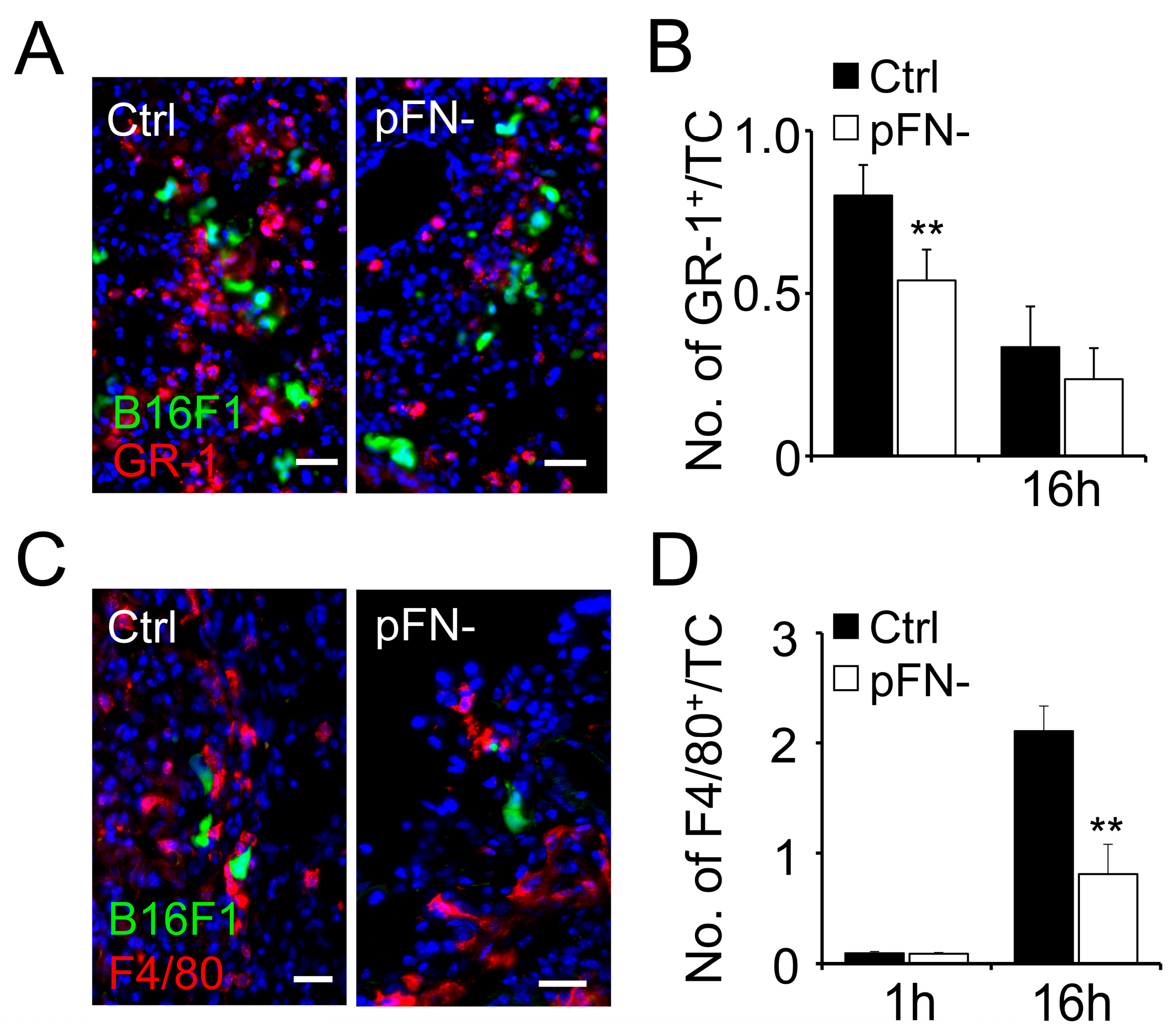 Cancers 17 03780 g002