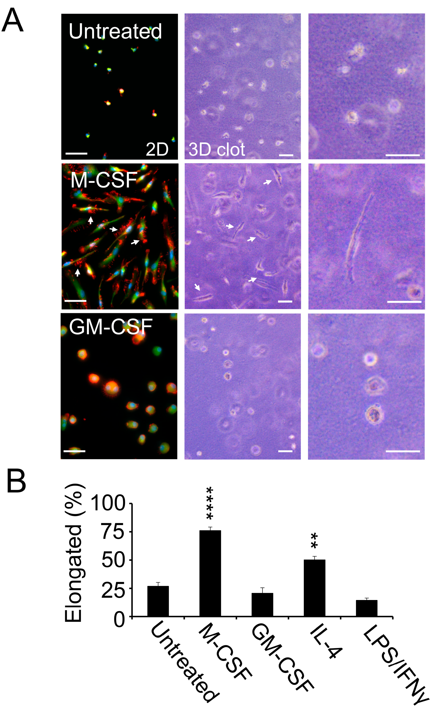 Cancers 17 03780 g003