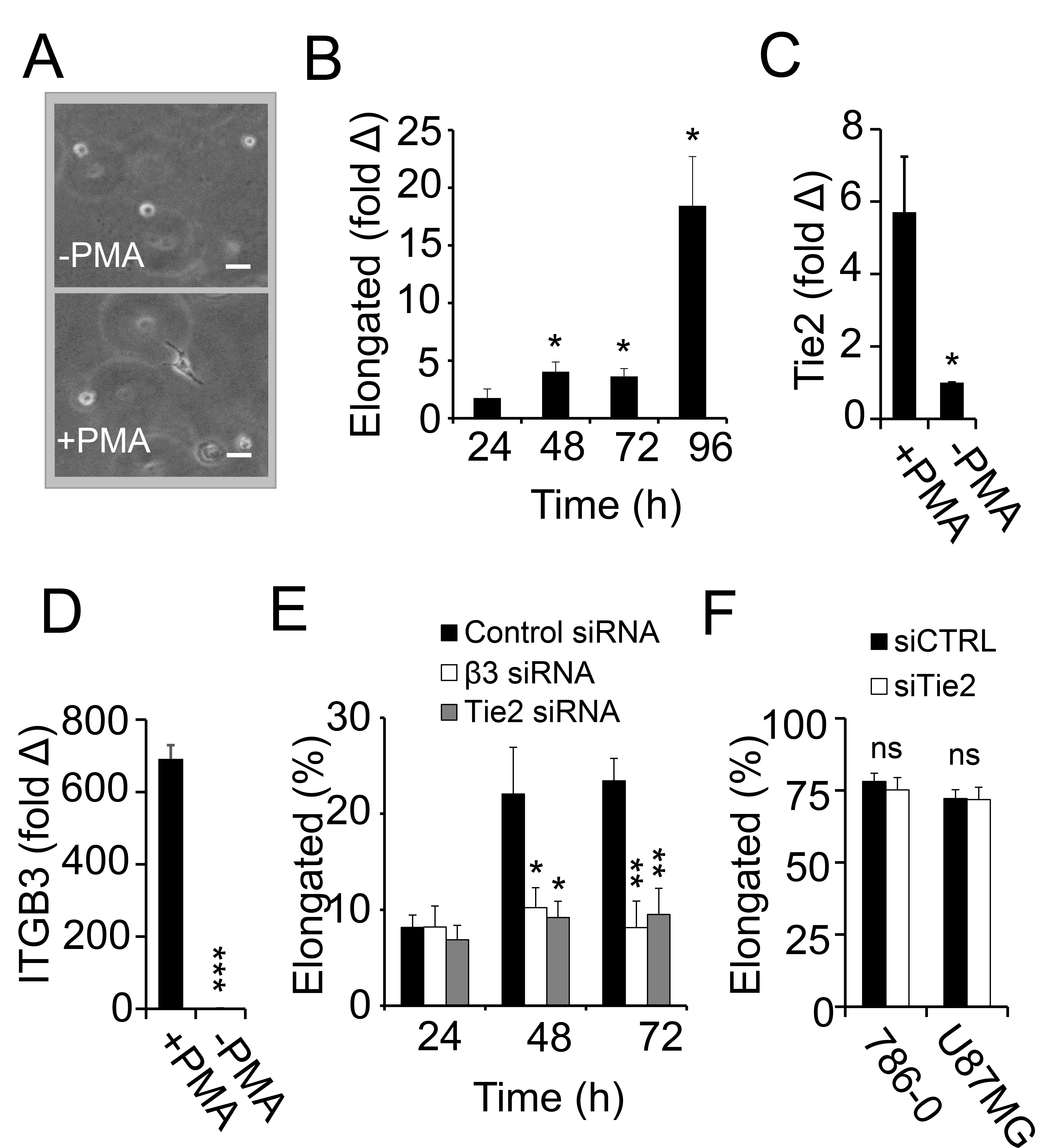 Cancers 17 03780 g005