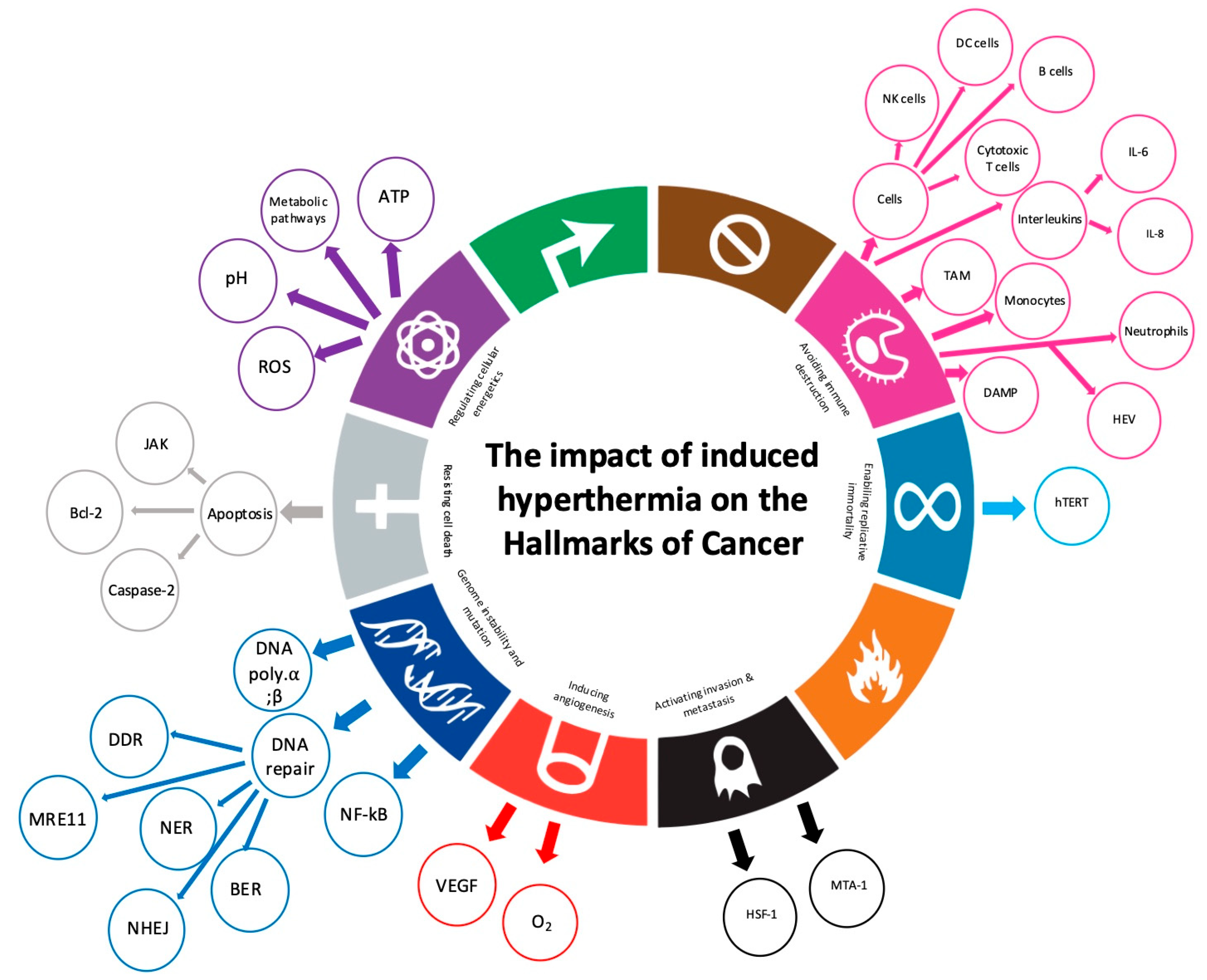 Cancers 17 03824 g006