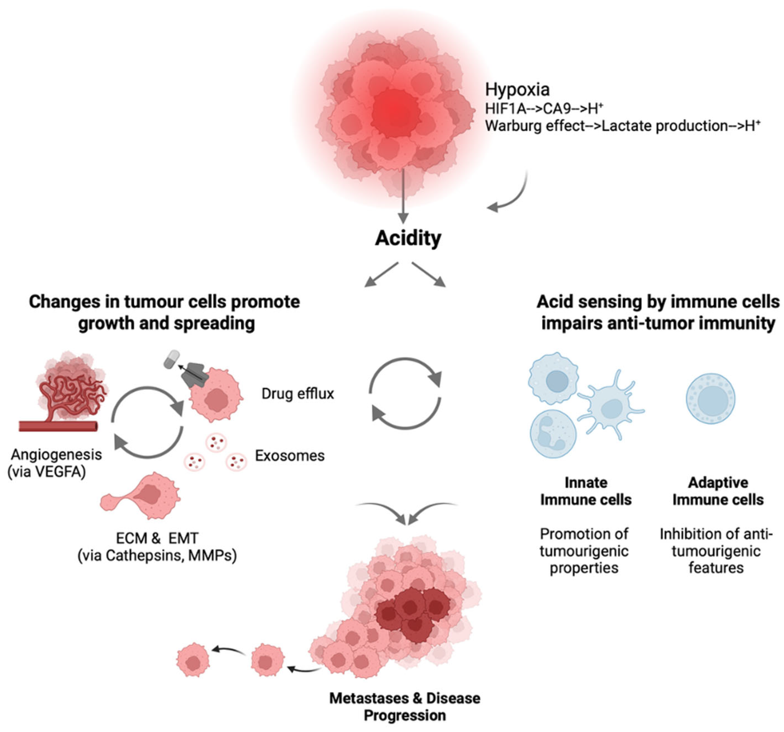 Cancers 17 03883 g001