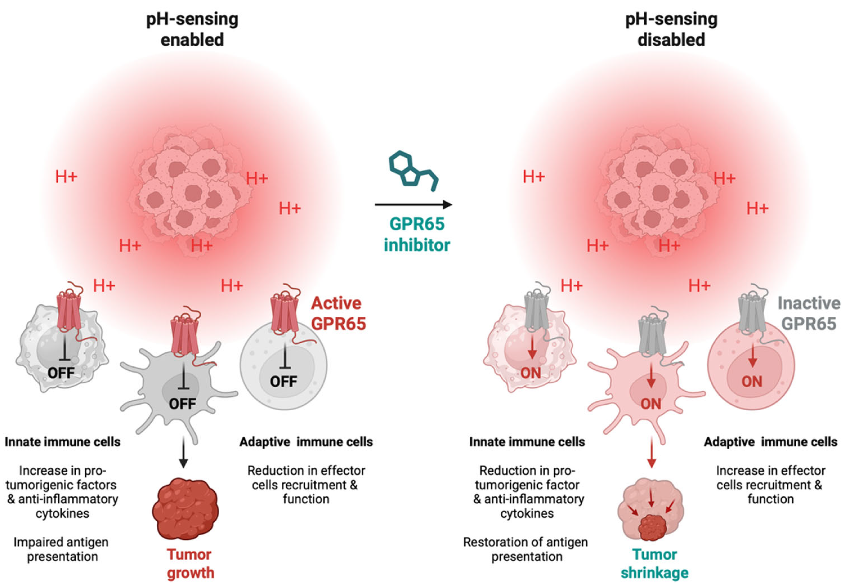 Cancers 17 03883 g002