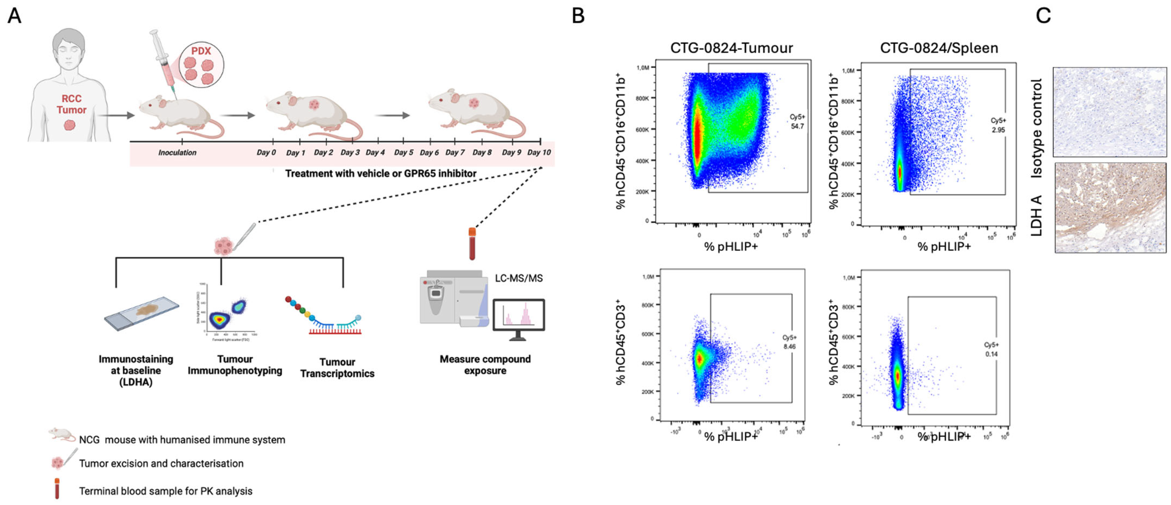 Cancers 17 03883 g005