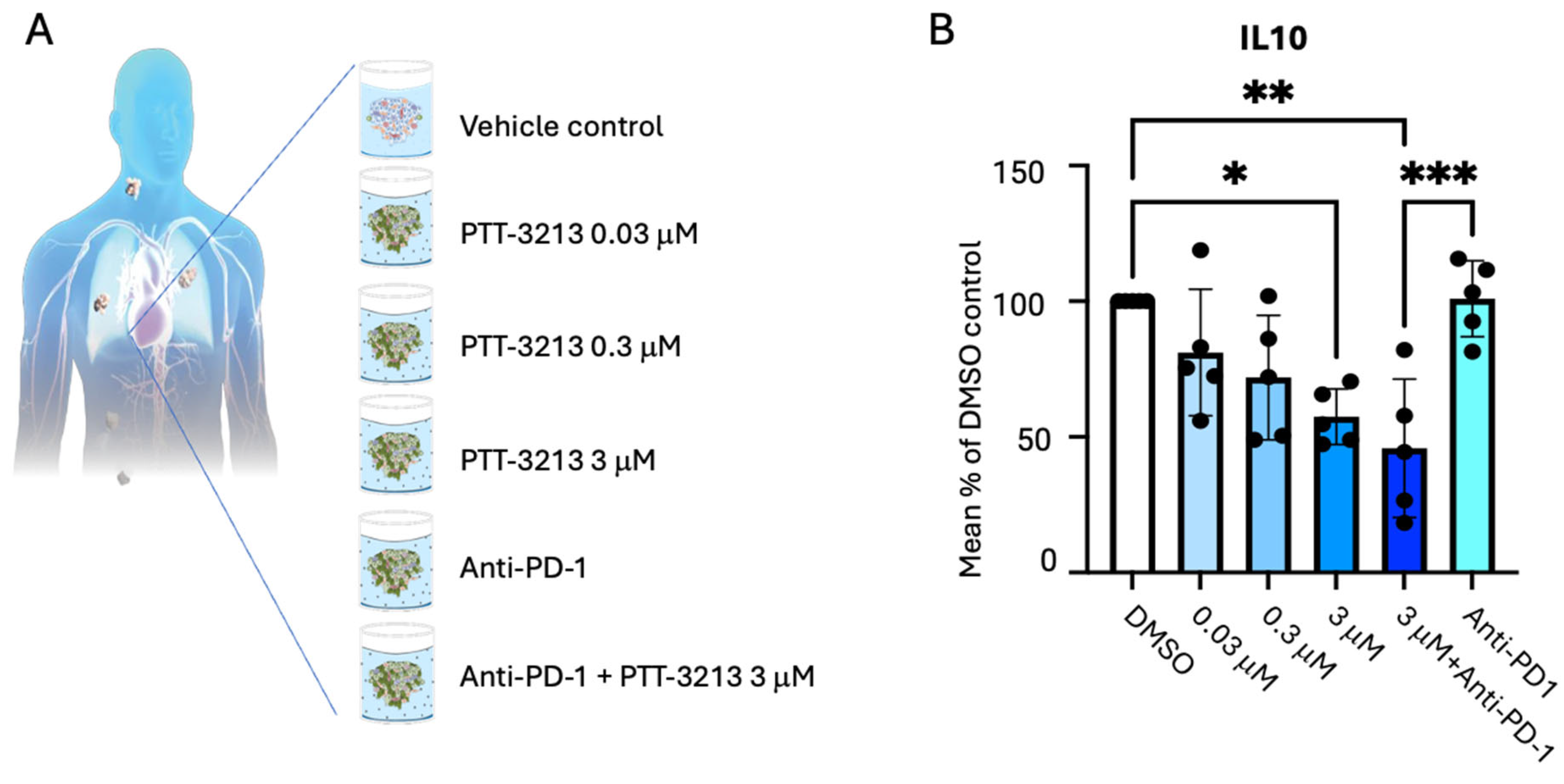 Cancers 17 03883 g007