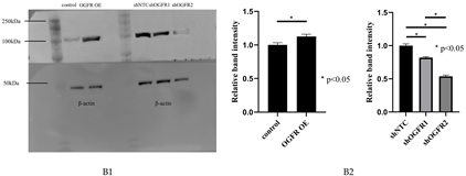 Cancers 17 03936 i0a2 Cancers 17 03936 i0a2