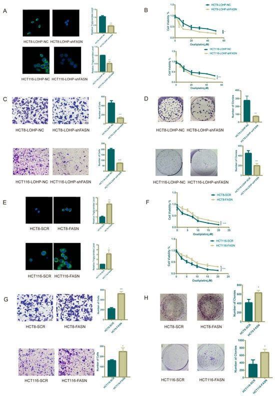 Cancers 17 03941 g002