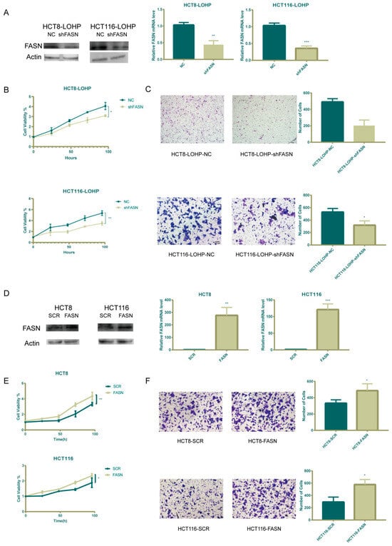 Cancers 17 03941 g0s1