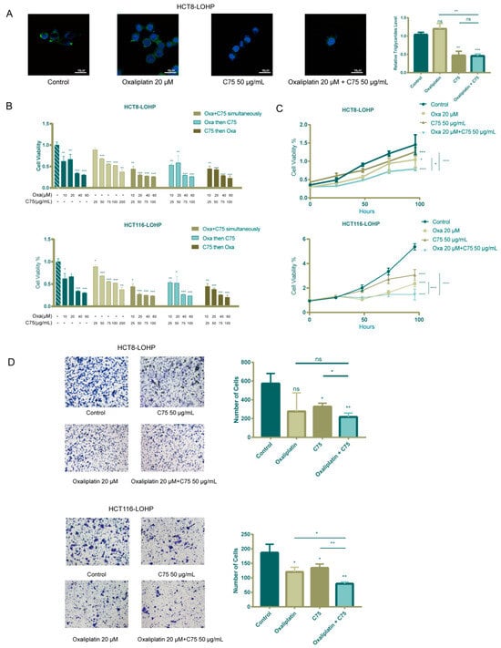 Cancers 17 03941 g0s4