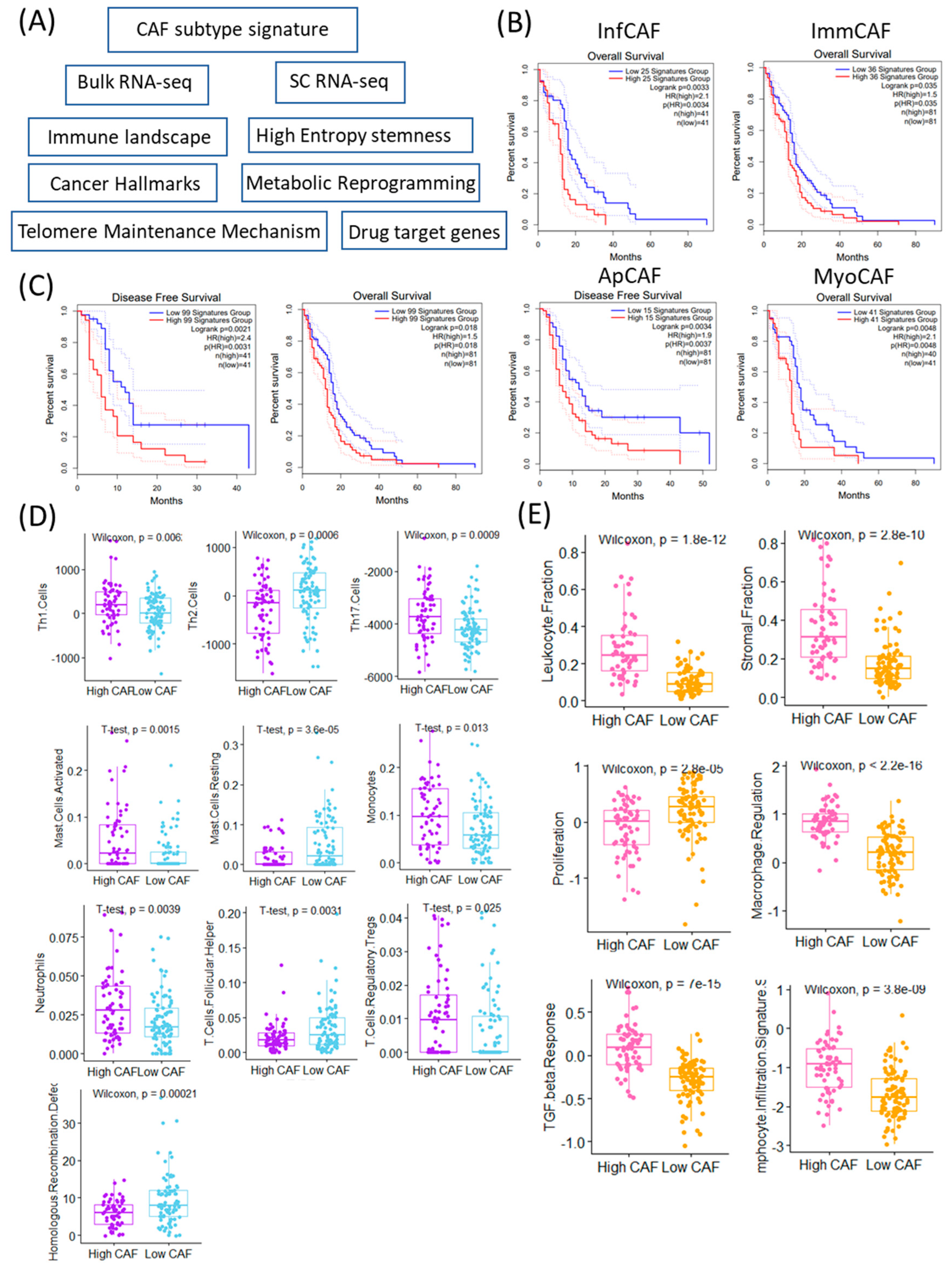 Cancers 17 03942 g001