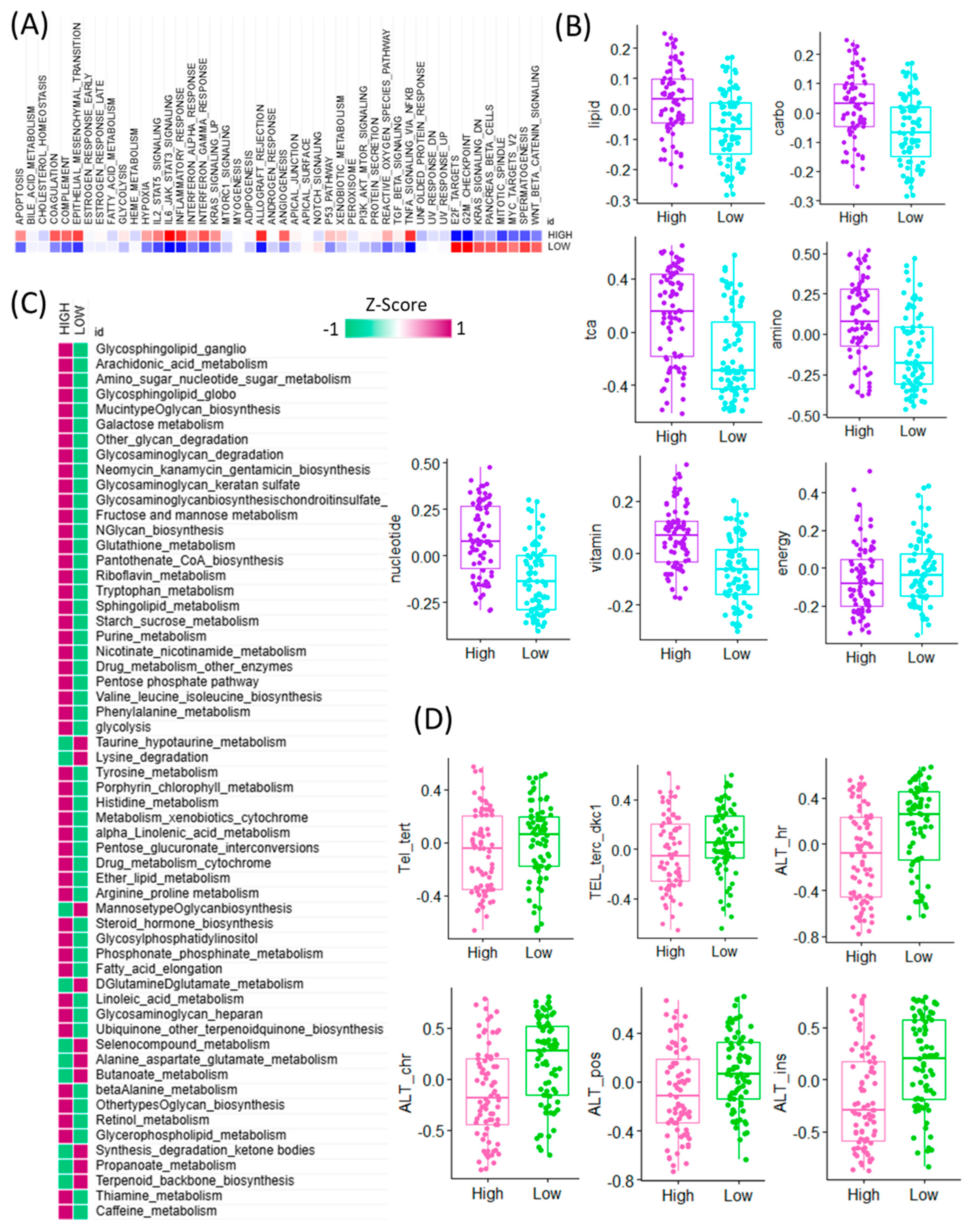 Cancers 17 03942 g002