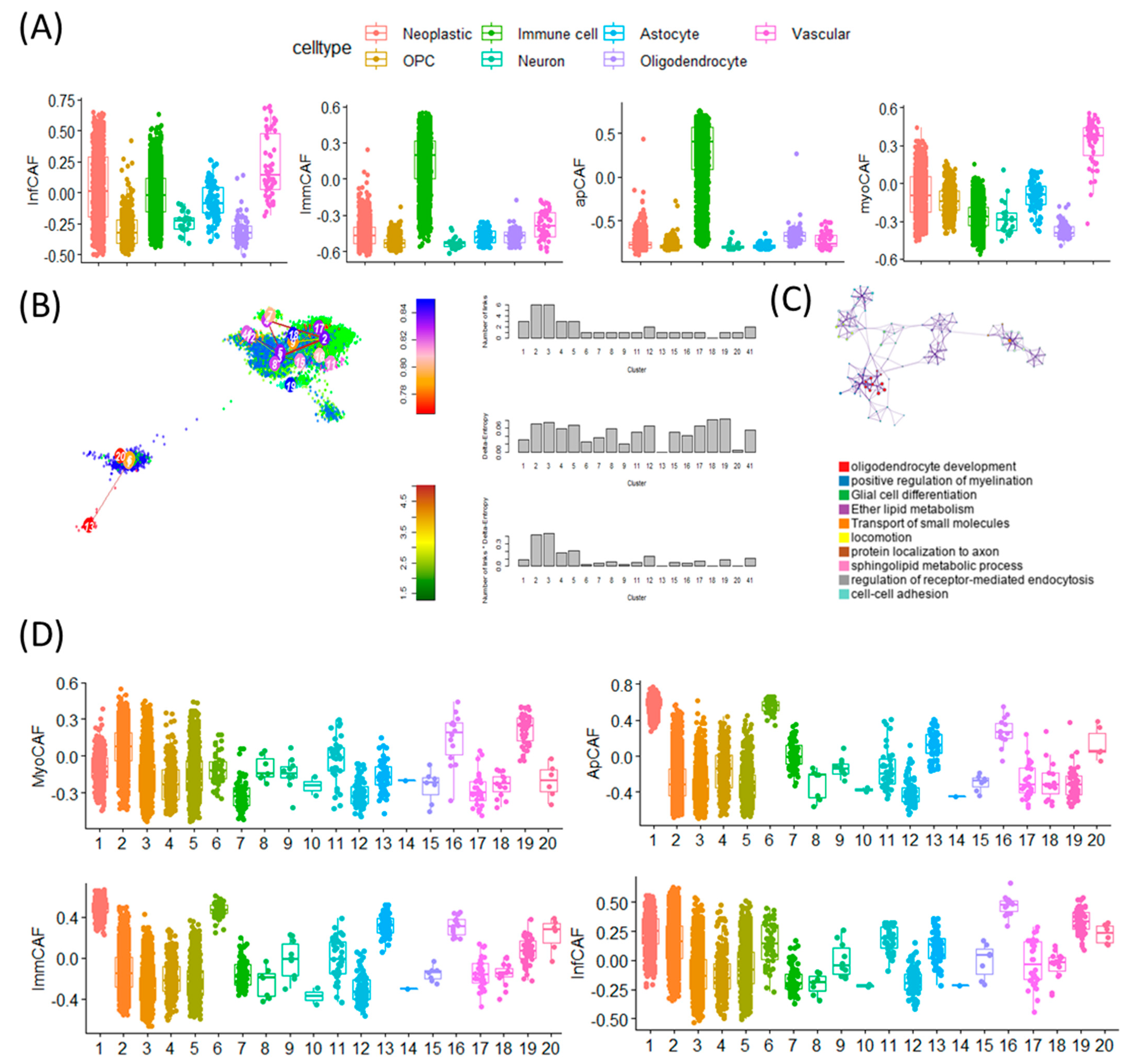 Cancers 17 03942 g003