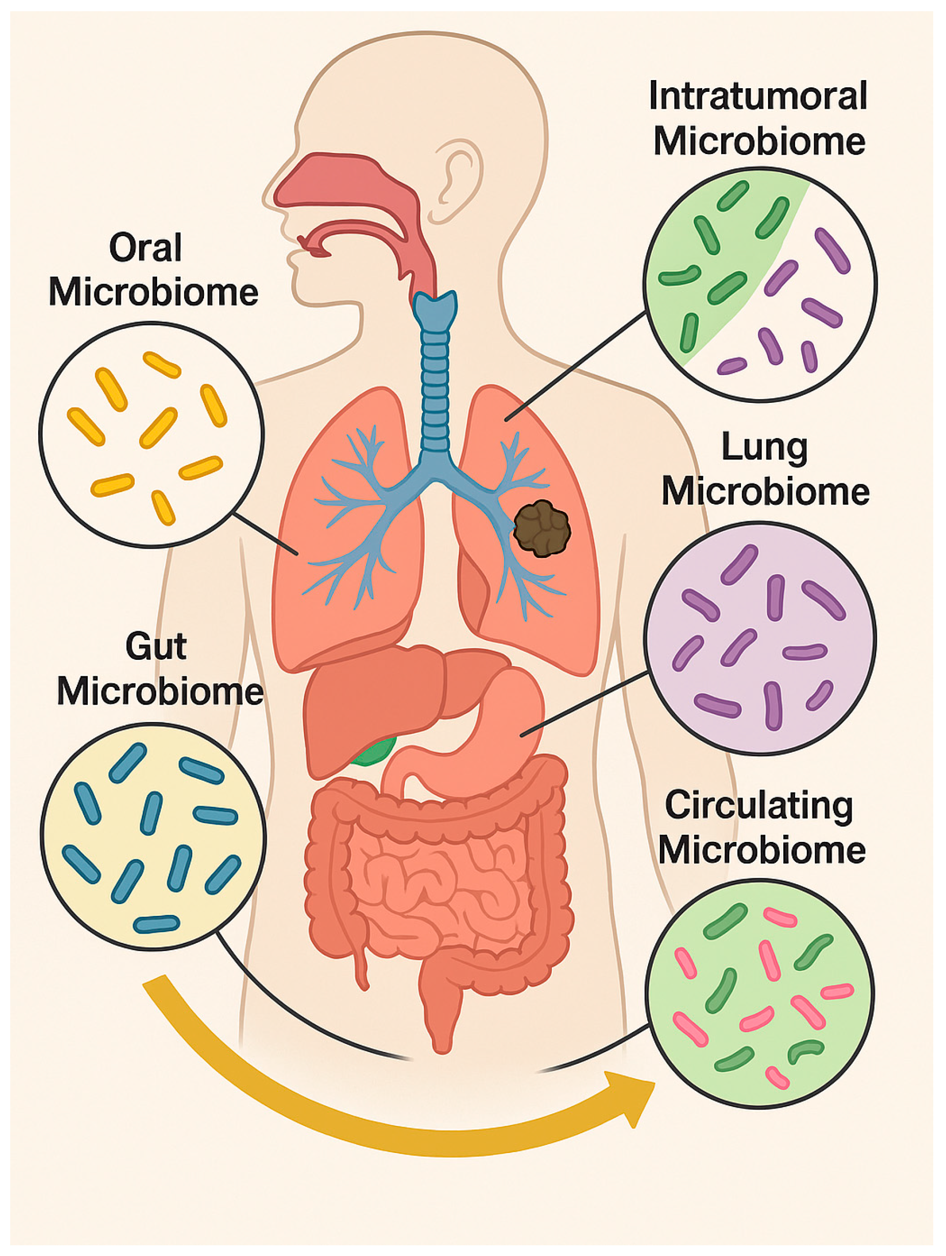 Cancers 17 03946 g001