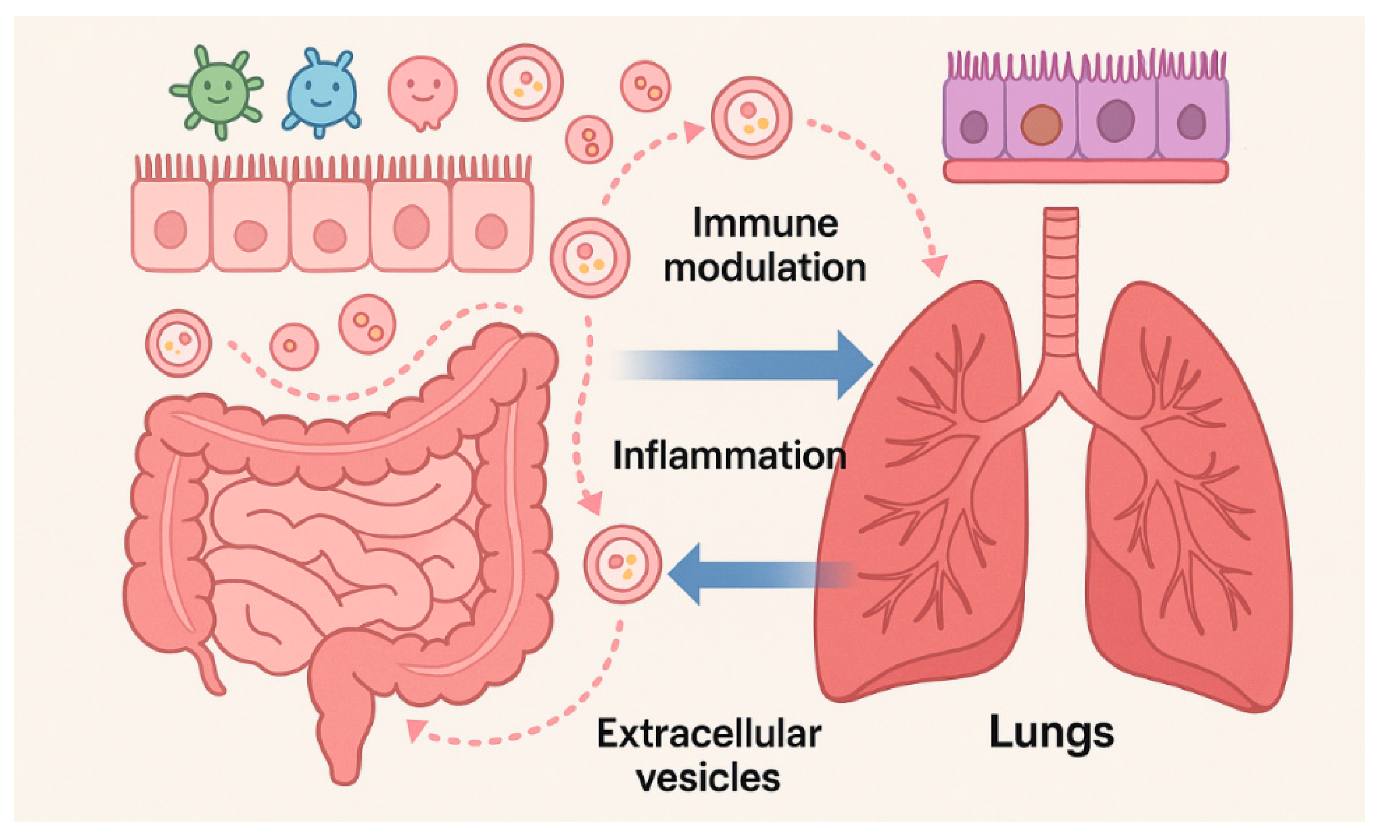 Cancers 17 03946 g002