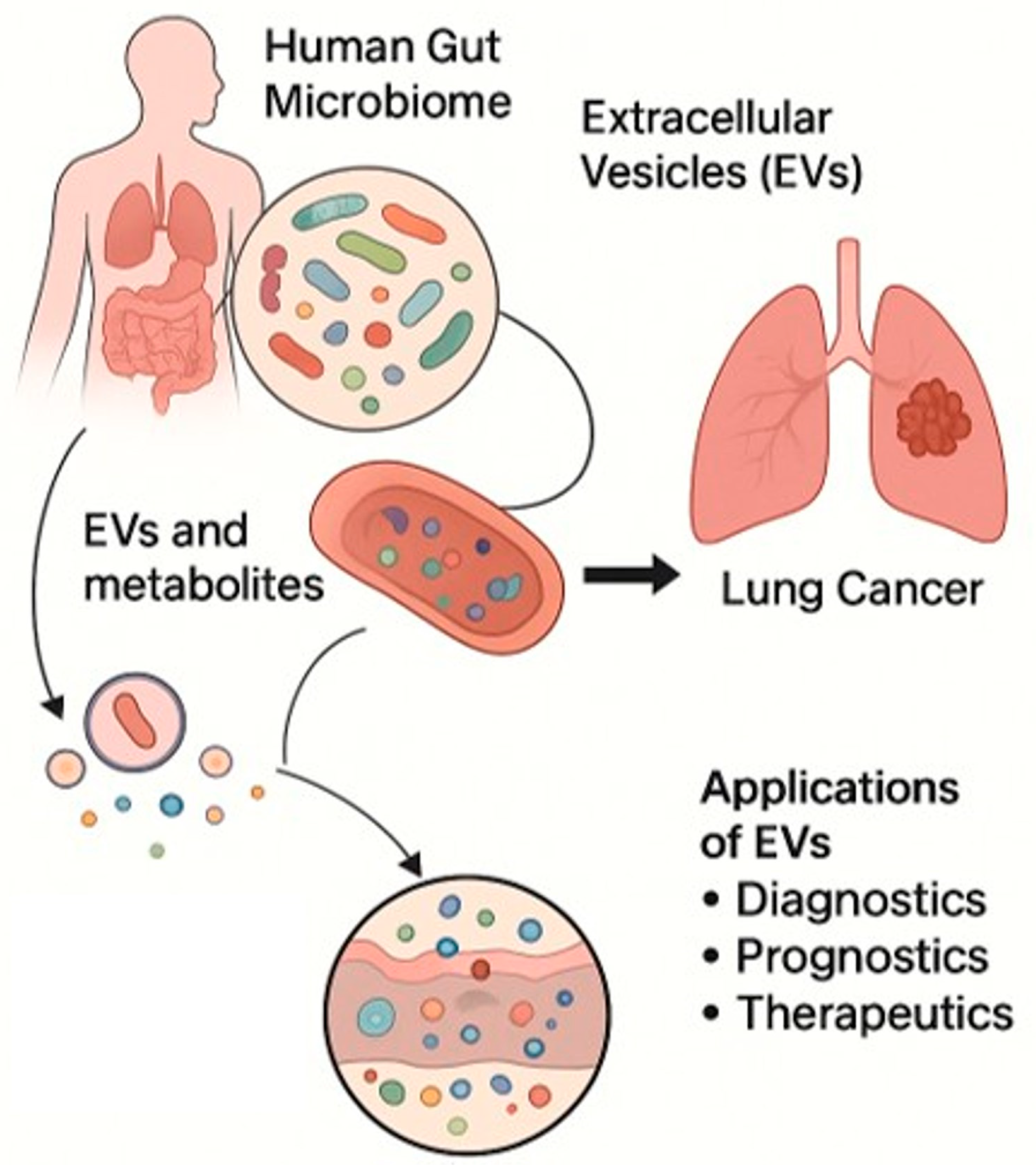 Cancers 17 03946 g003