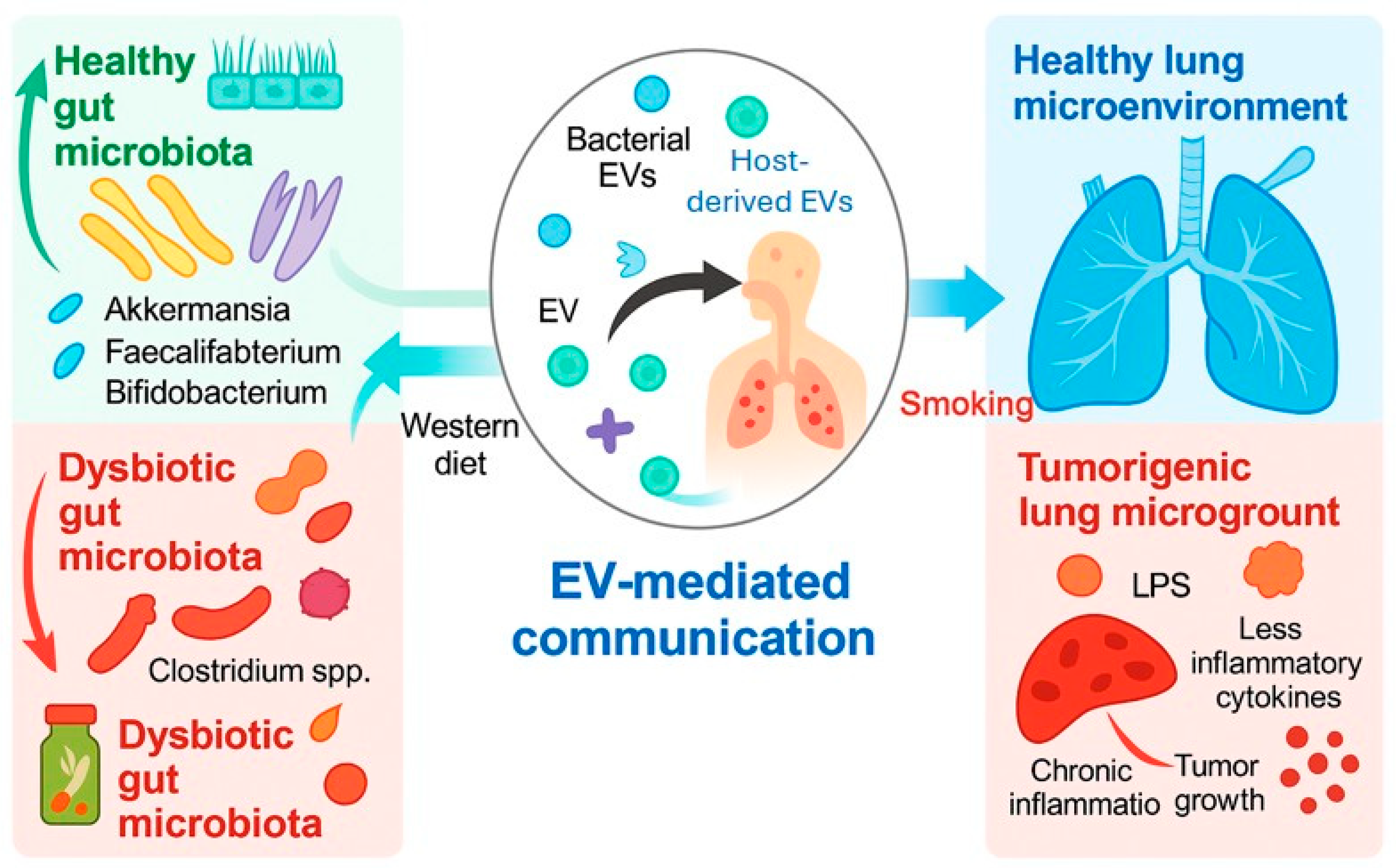 Cancers 17 03946 g004