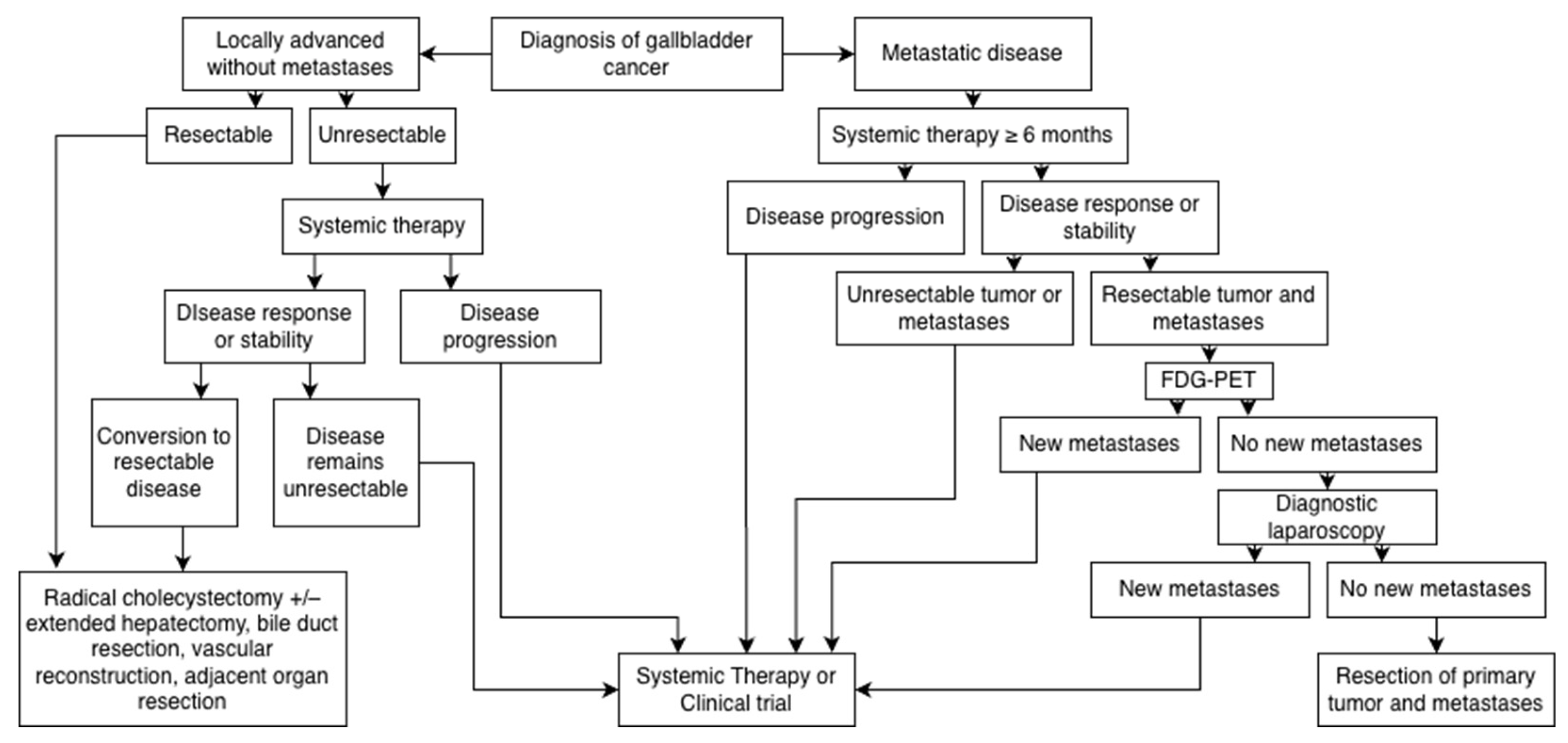 Cancers 17 03952 g002