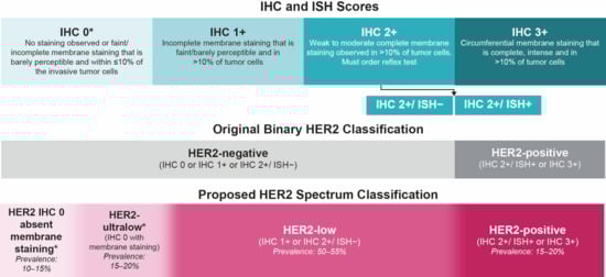 Cancers 17 04021 g001